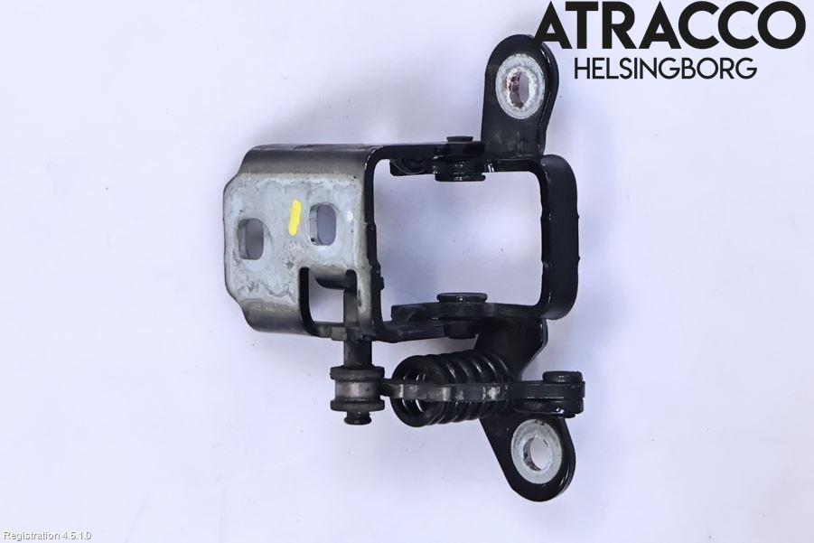 Fiat FREEMONT Dörrgångjärn