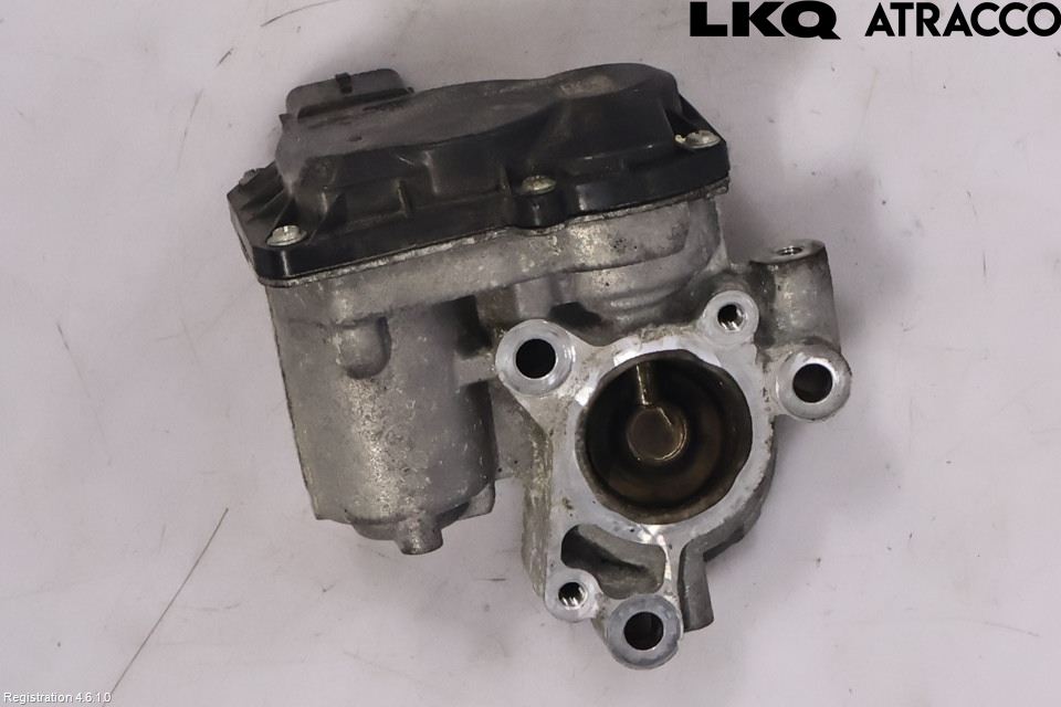 Renault KANGOO II 15-21 Egr Ventil