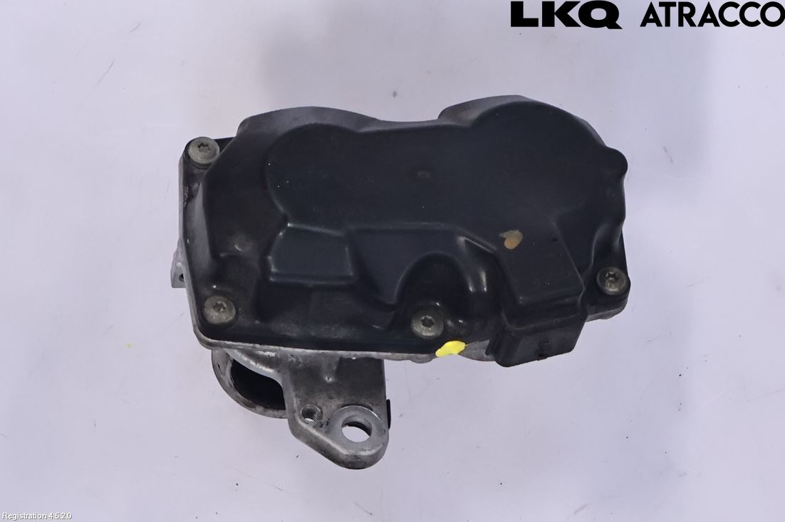 Nissan X-TRAIL 14-21 Egr Ventil