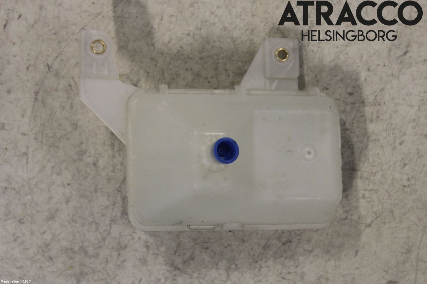 Nissan LEAF 11-17 Expansionstank