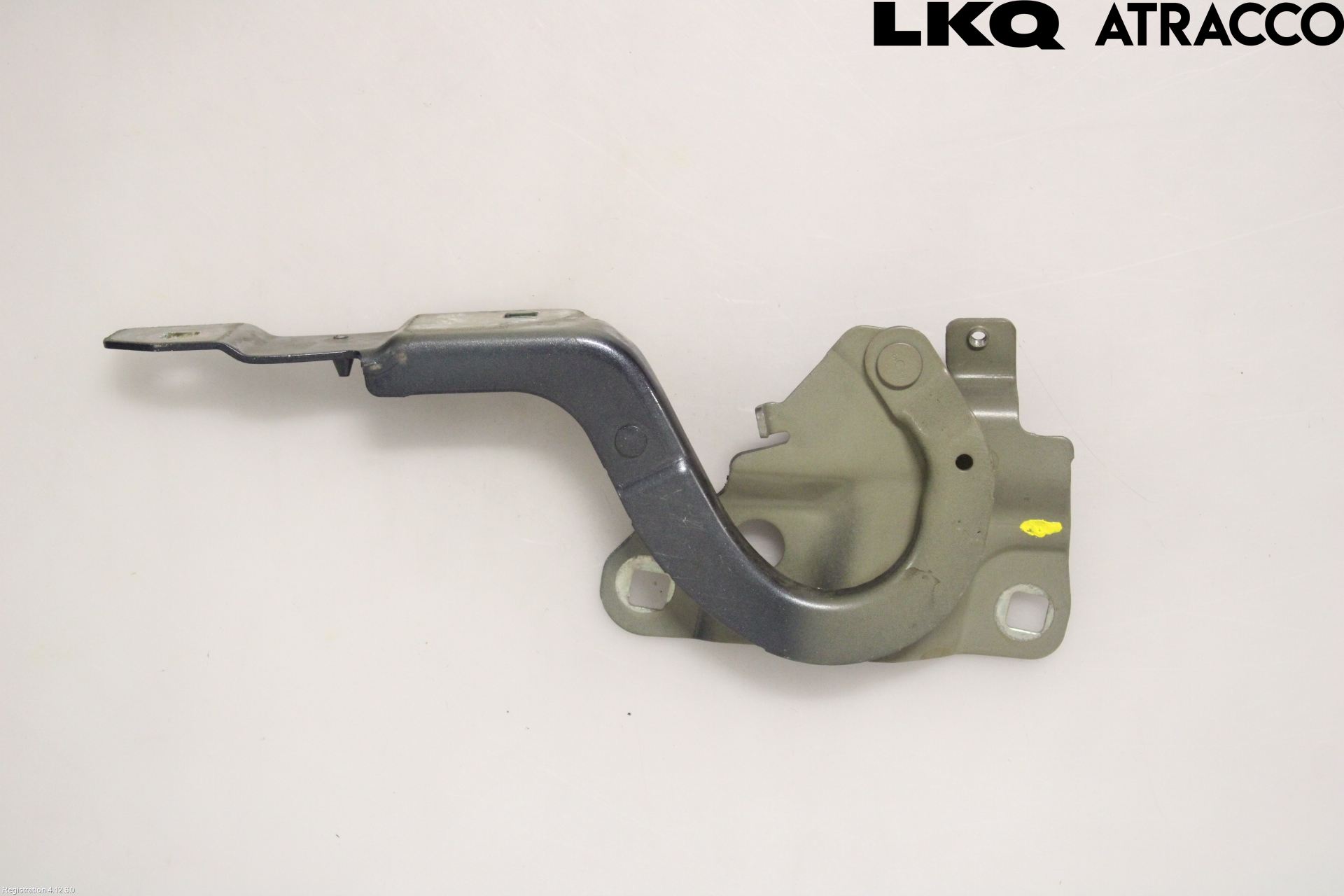 Renault ZOE/E-TECH 13- Huvgångjärn