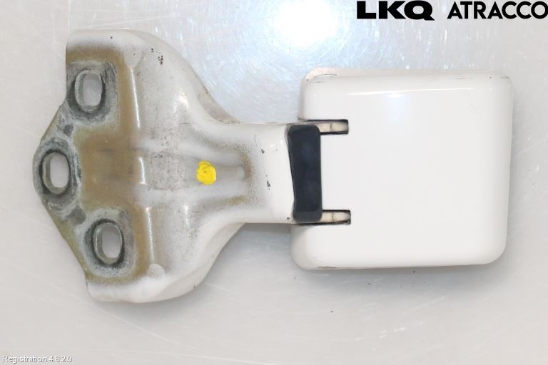 Citroen JUMPY/E-JUMPY 16- Bakluckegångjärn Vä