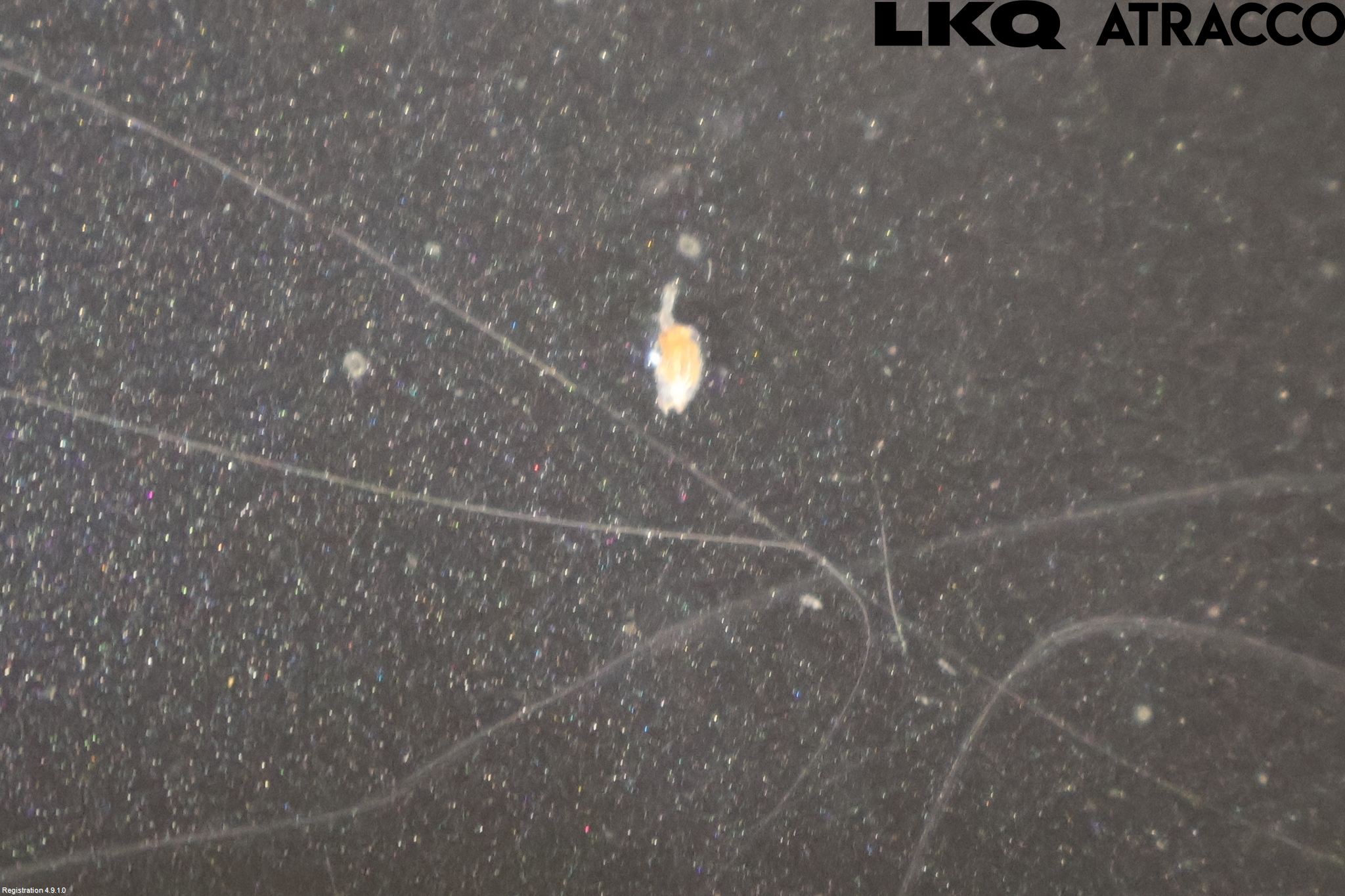 Volvo XC90 07-14 Dörr Bak Vänster