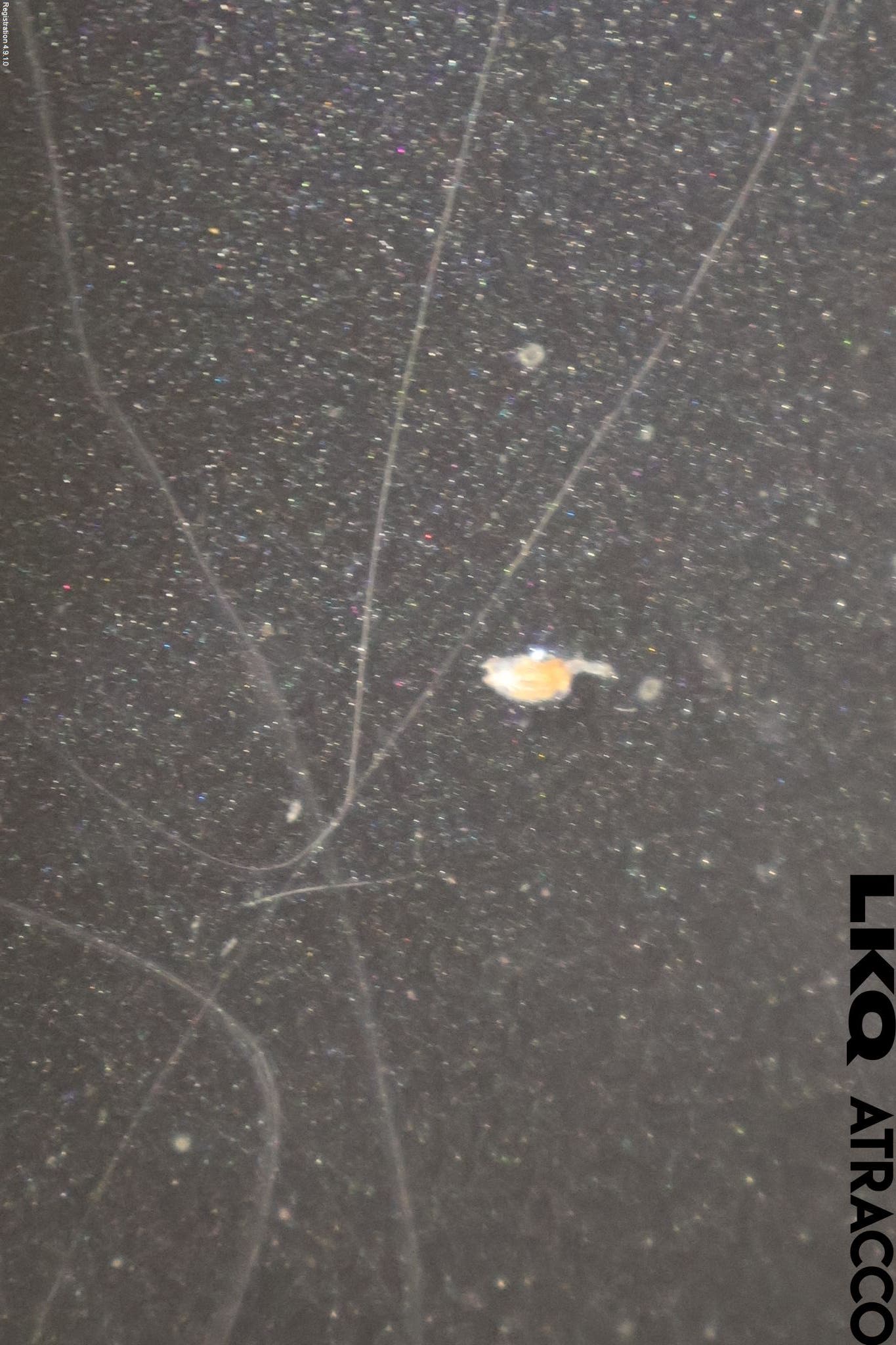 Volvo XC90 07-14 Dörr Bak Vänster