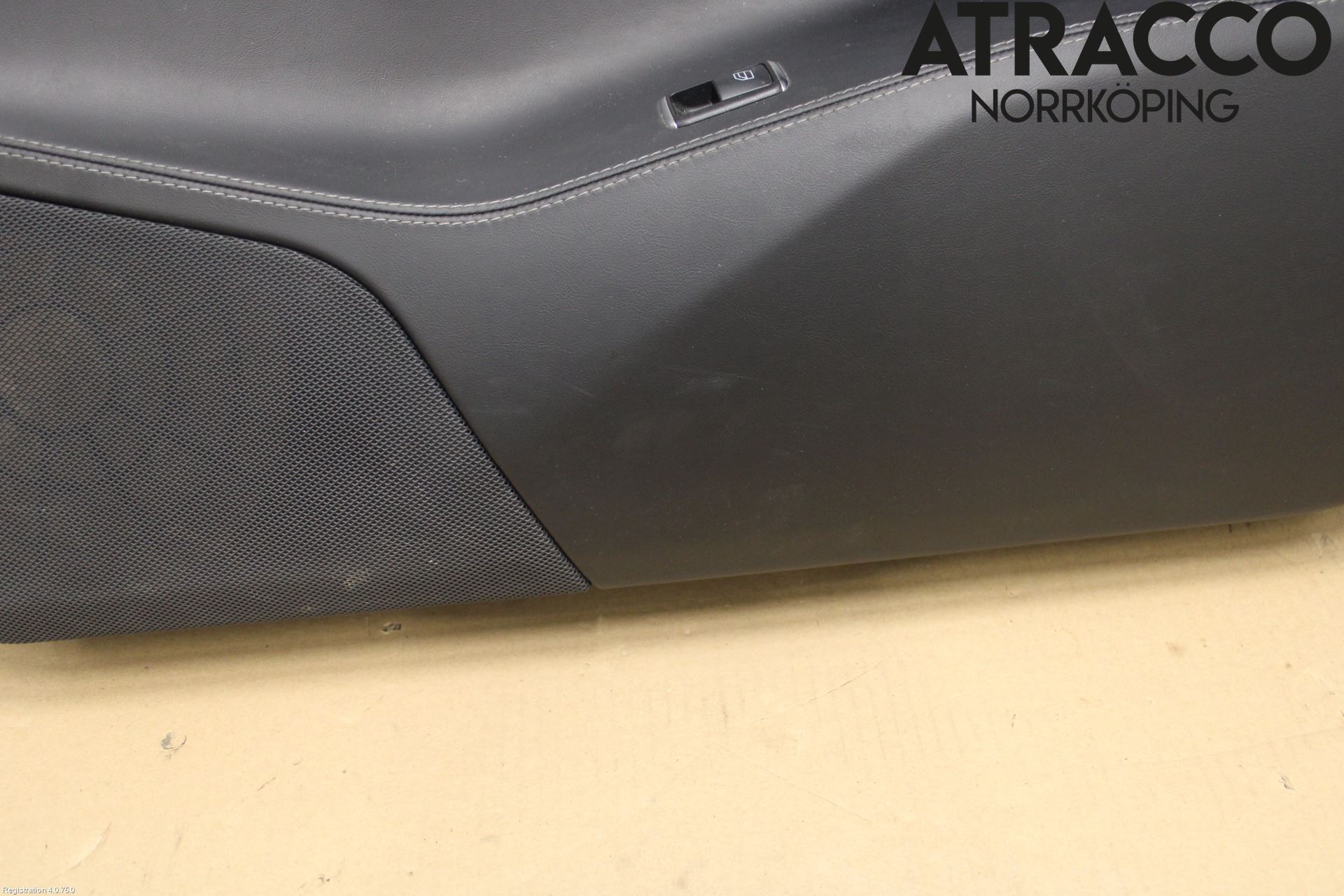 Tesla MODEL S 13- Dörrklädsel Hö