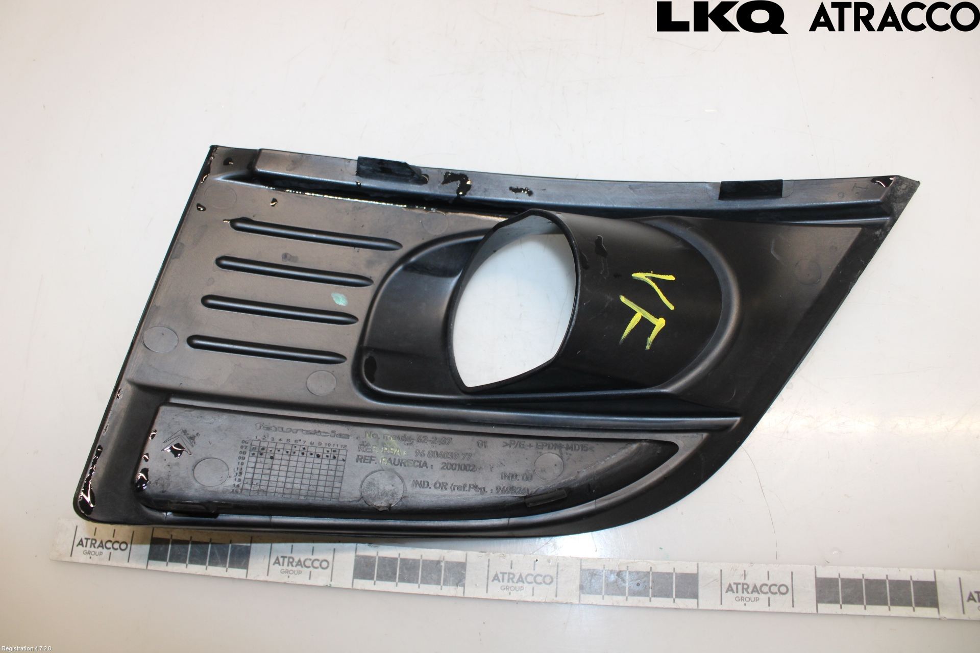 Citroen C4 PICASSO 06-13 Dimljussarg Fram