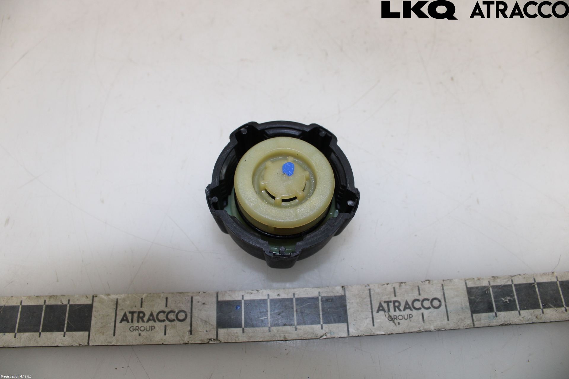 Renault MEGANE III 09-15 Expansionstank Lock