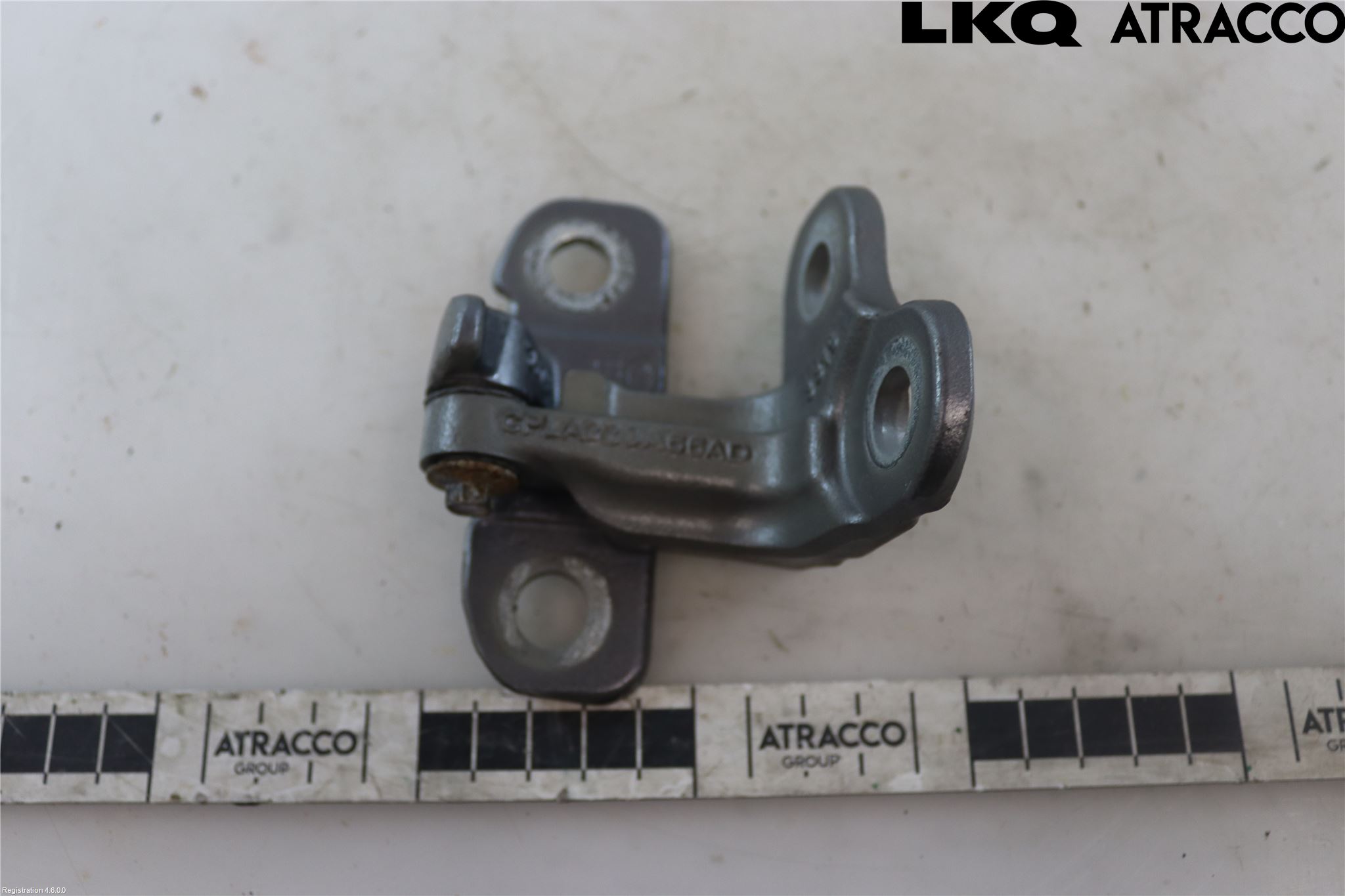 Jaguar F-PACE Dörrgångjärn