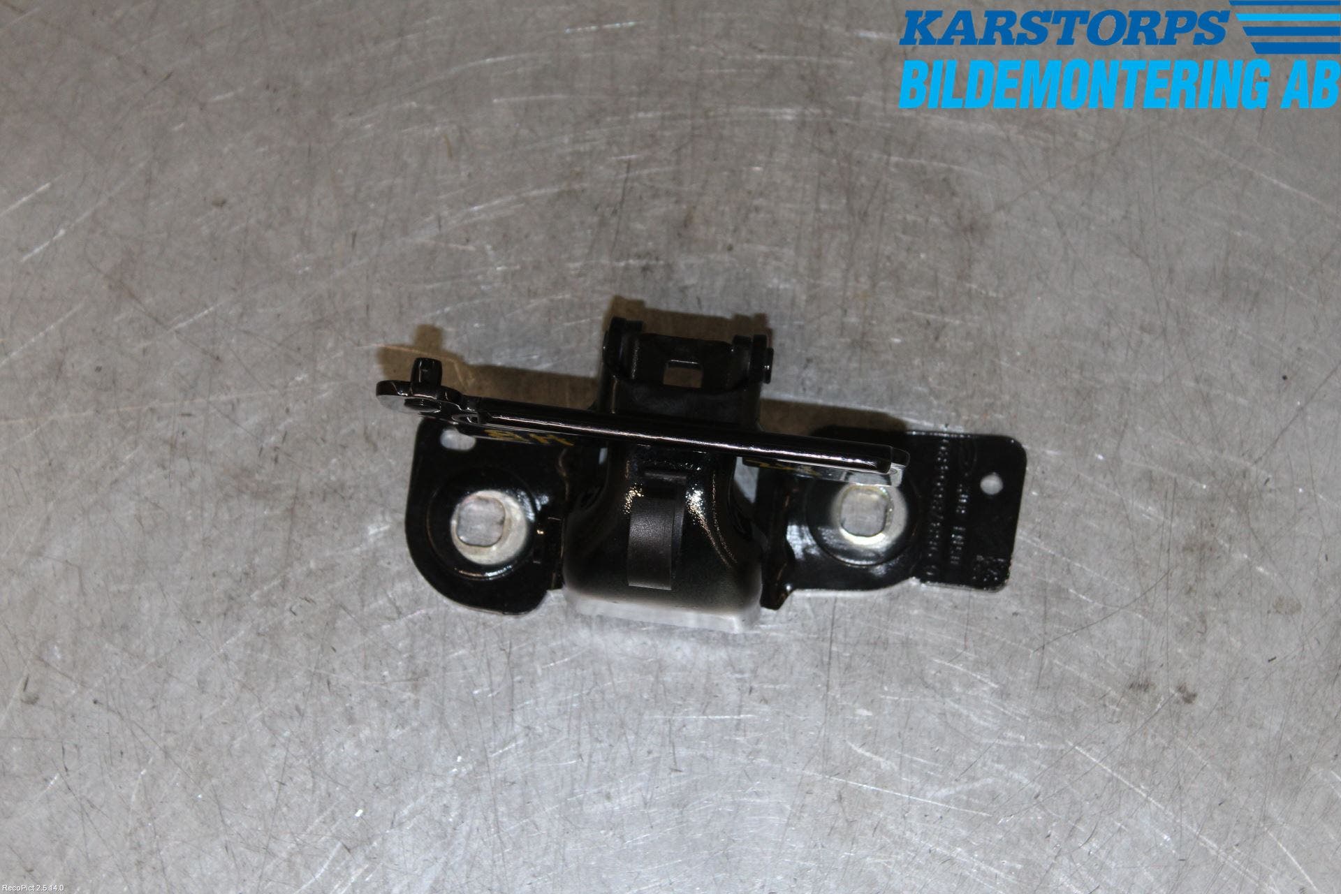 Peugeot 508 11-18 Bakluckegångjärn Hö