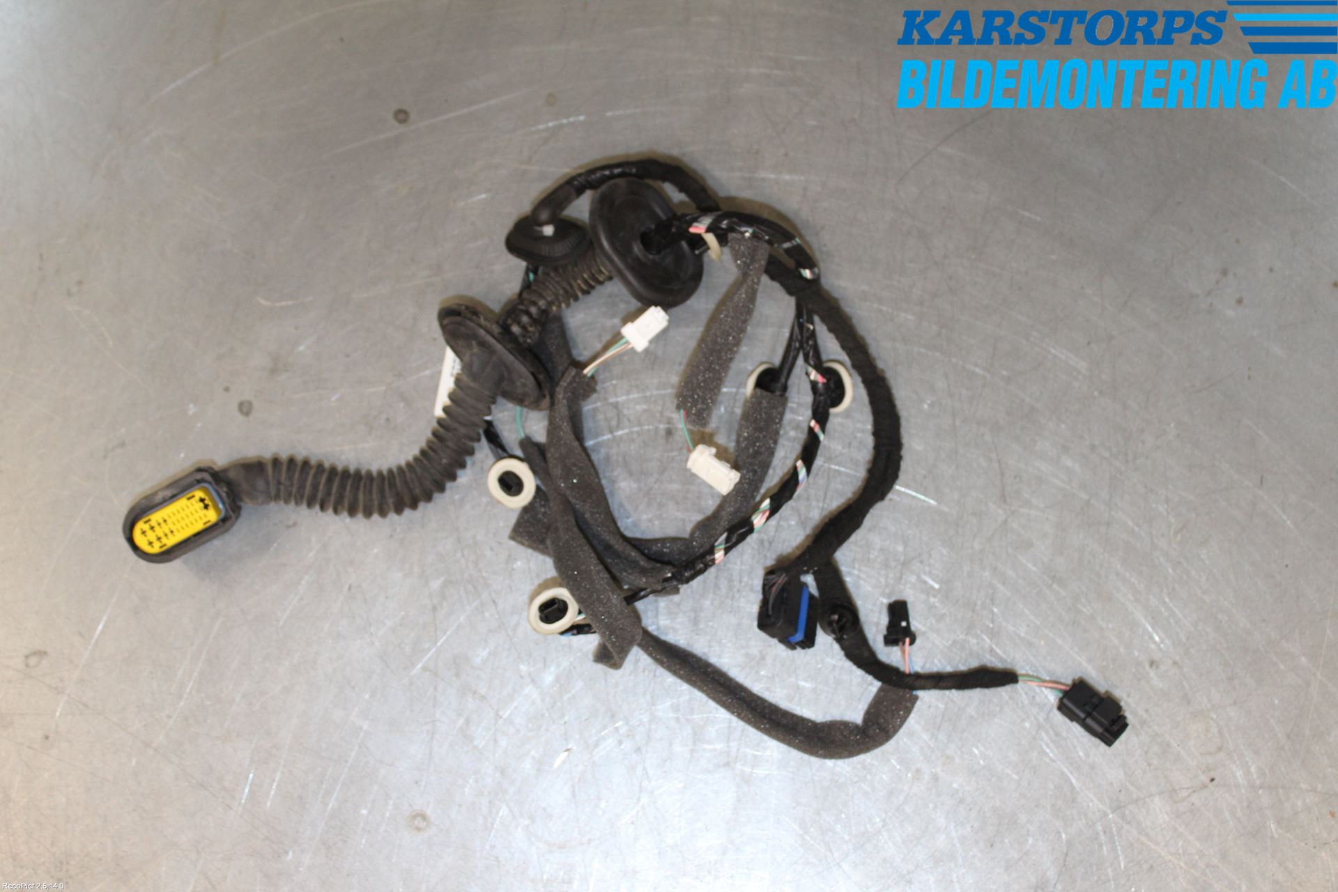 Renault MEGANE III 09-15 Kabelhärva