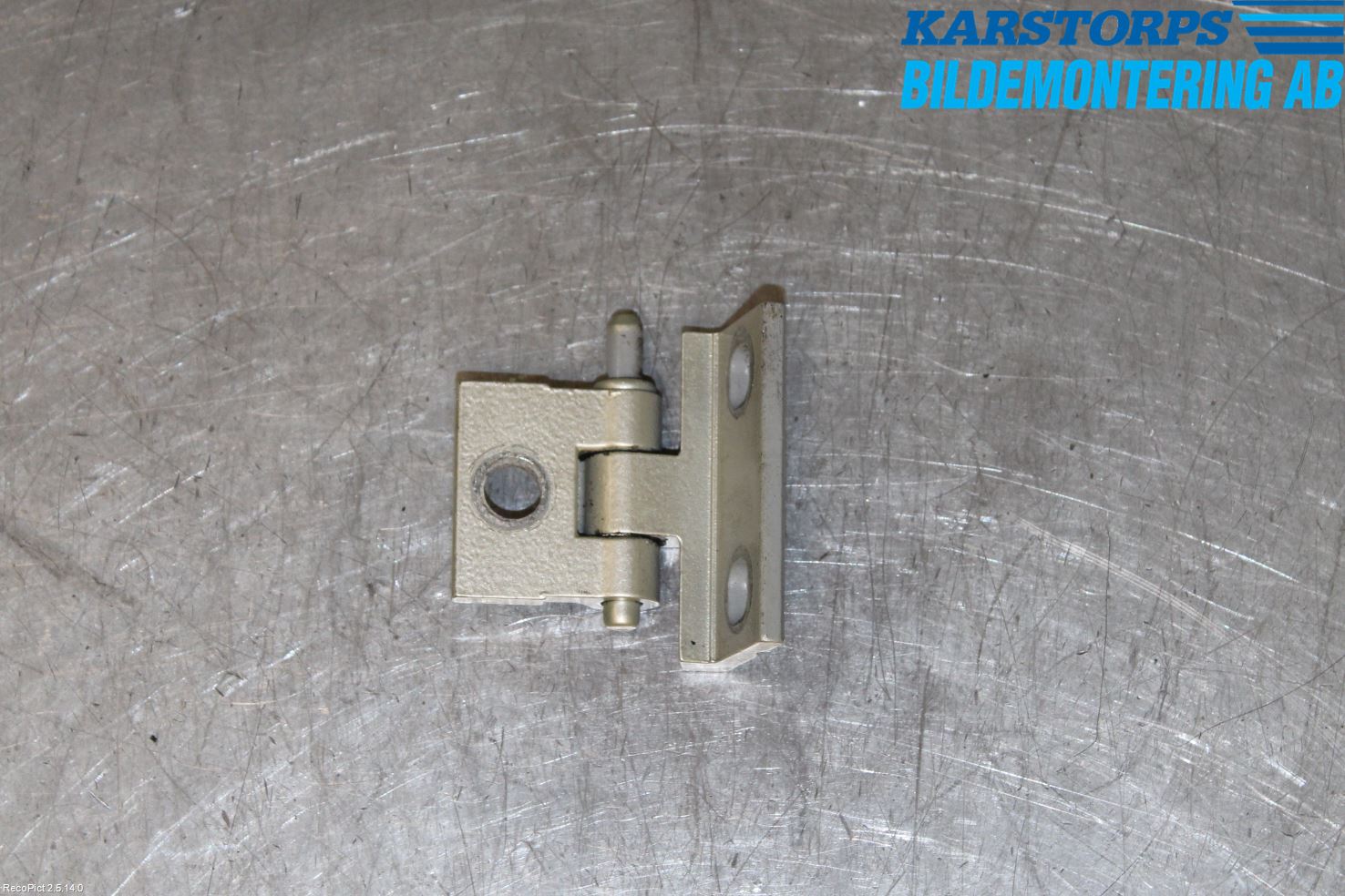 Volvo S60 05-10 Dörrgångjärn