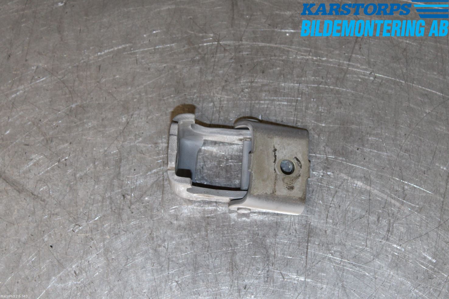 Renault CLIO IV 12-16 Dörrgångjärn