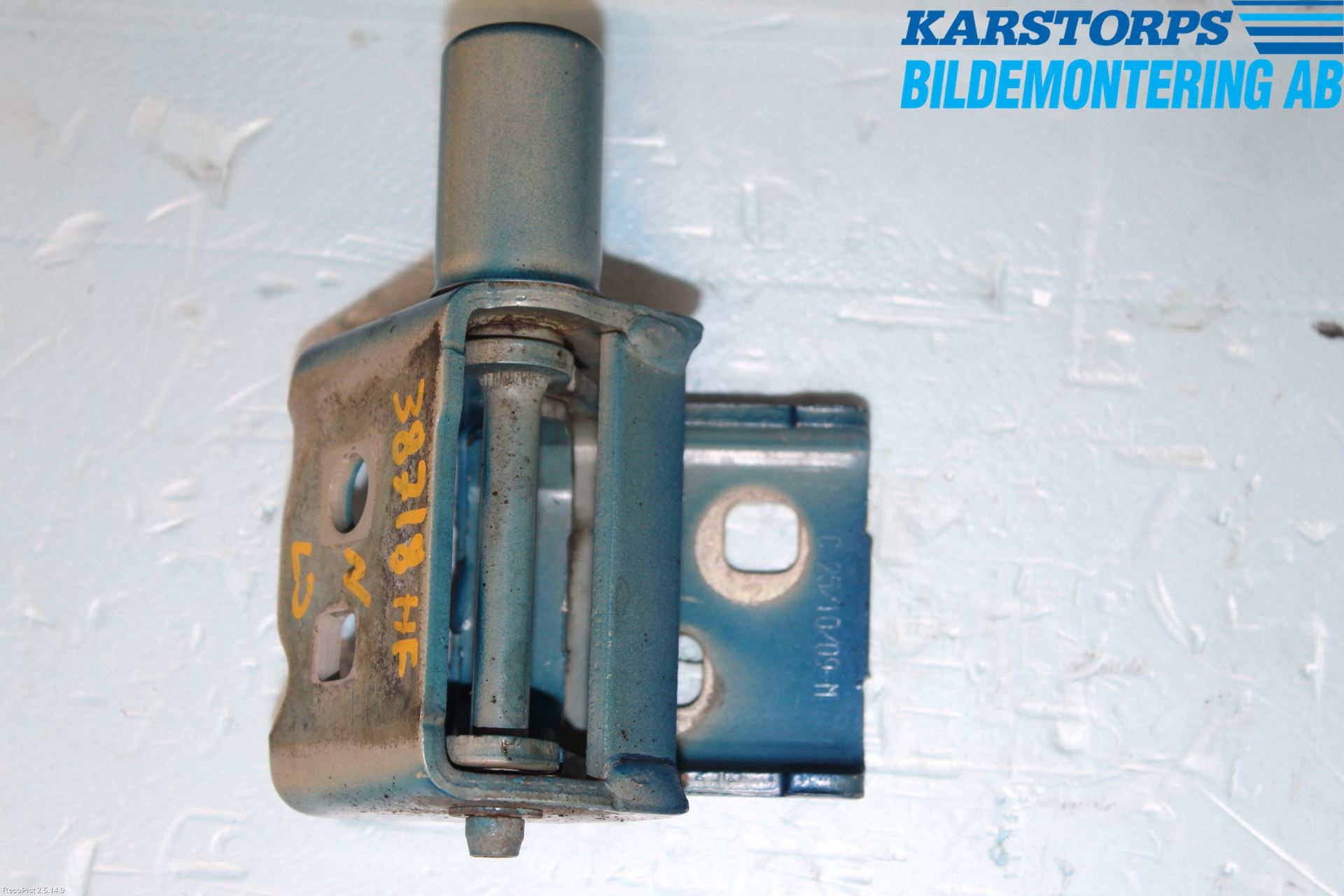 Renault CLIO III  09-12 Dörrgångjärn