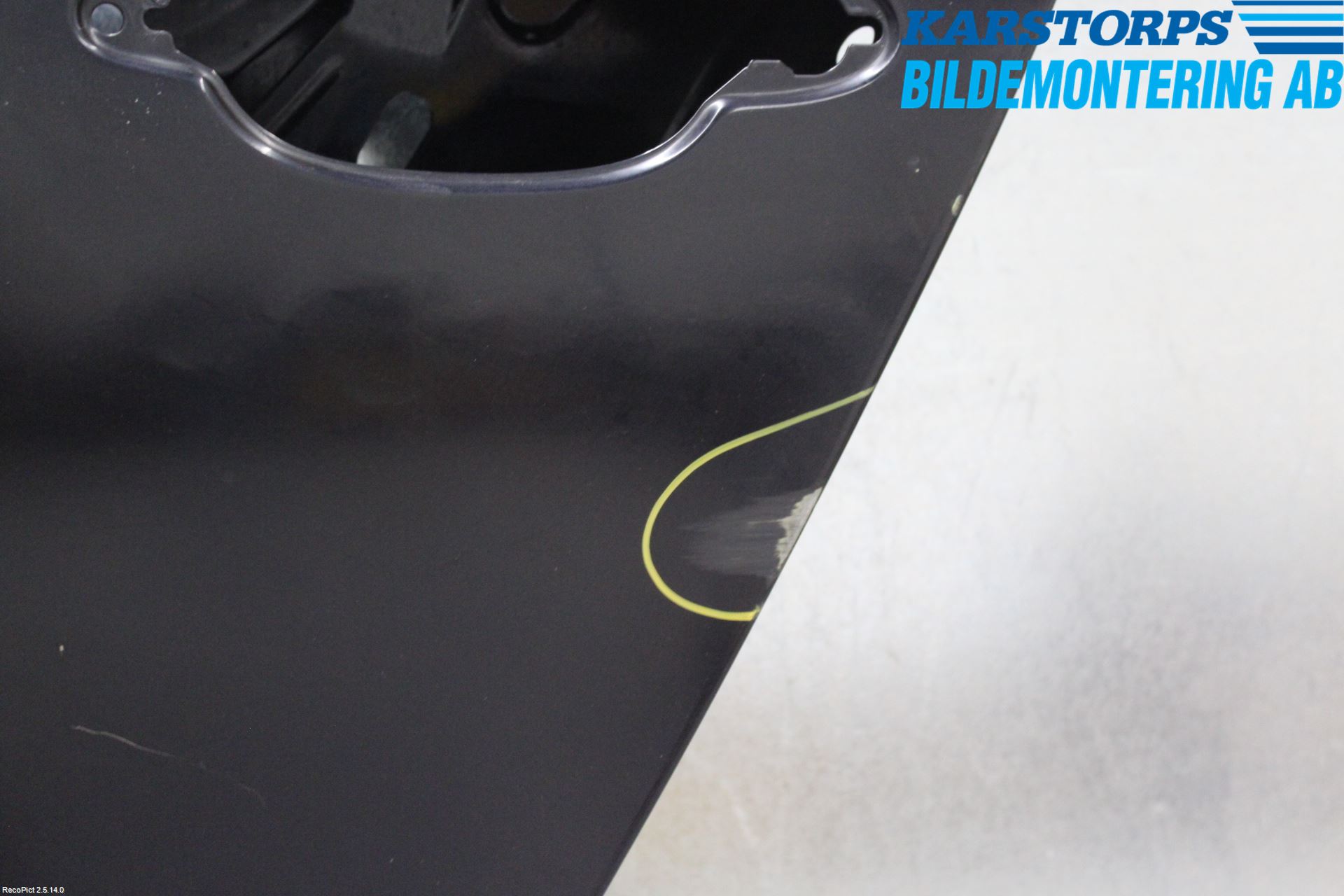 BMW 5 E60/61 Sed/Tou 02-10 Dörr Bak Vänster