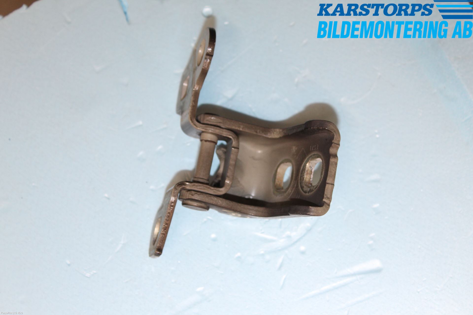 Renault CLIO III  09-12 Dörrgångjärn