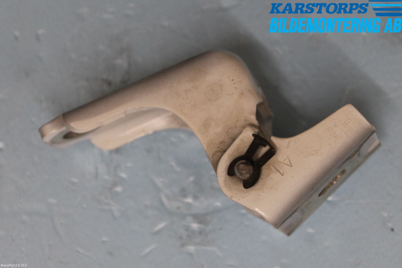 Citroen C3 10-17 Dörrgångjärn