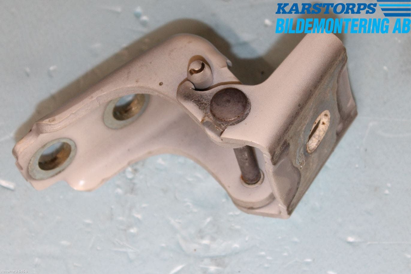 Citroen C3 10-17 Dörrgångjärn