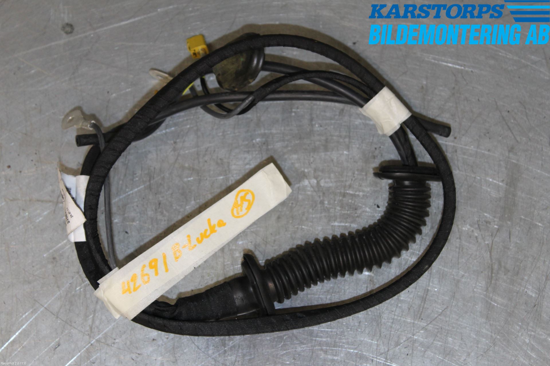 Renault MEGANE IV 16-23 Kabelhärva