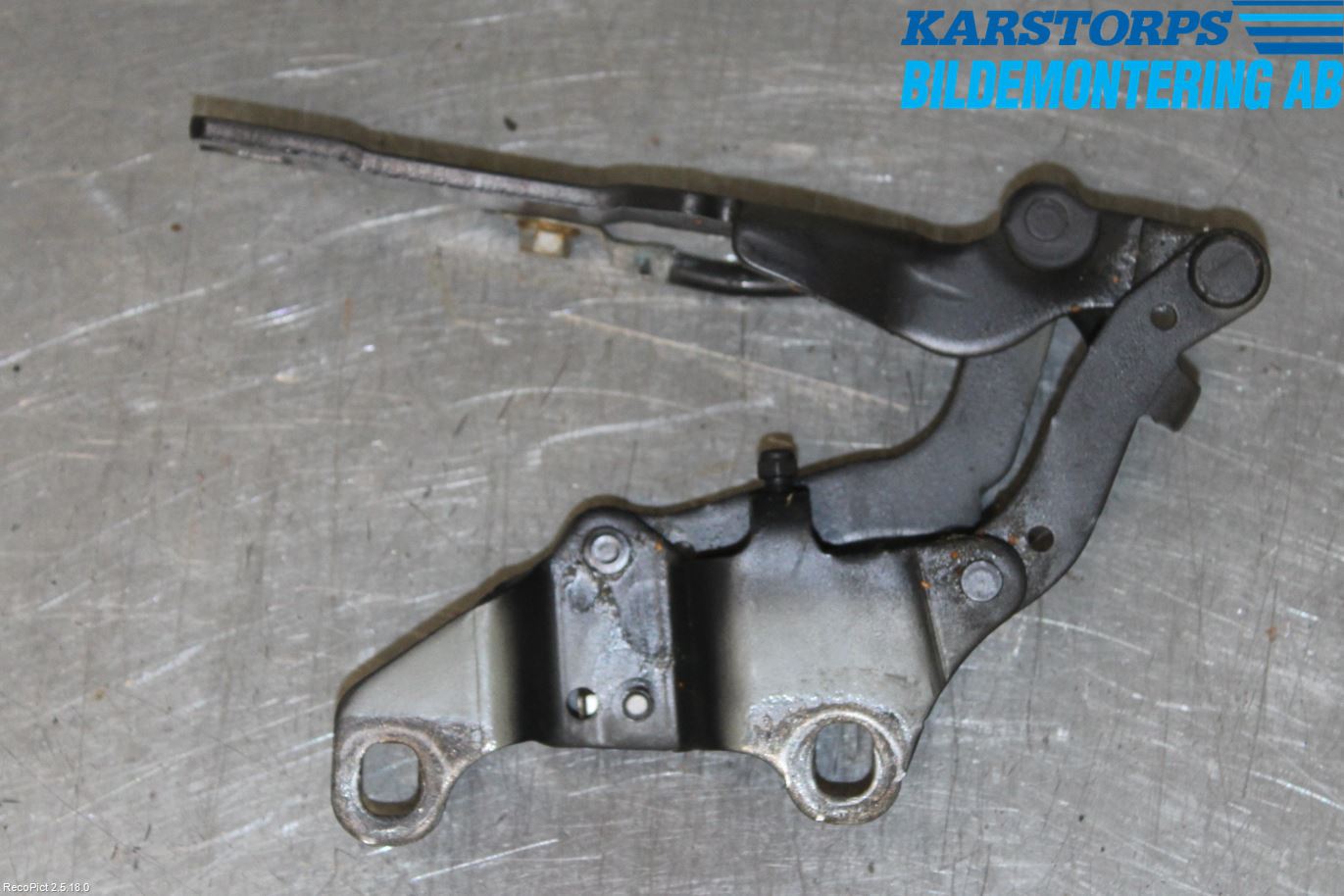 BMW 3 E90/91 SED/TOU 05-12 Bakluckegångjärn Hö