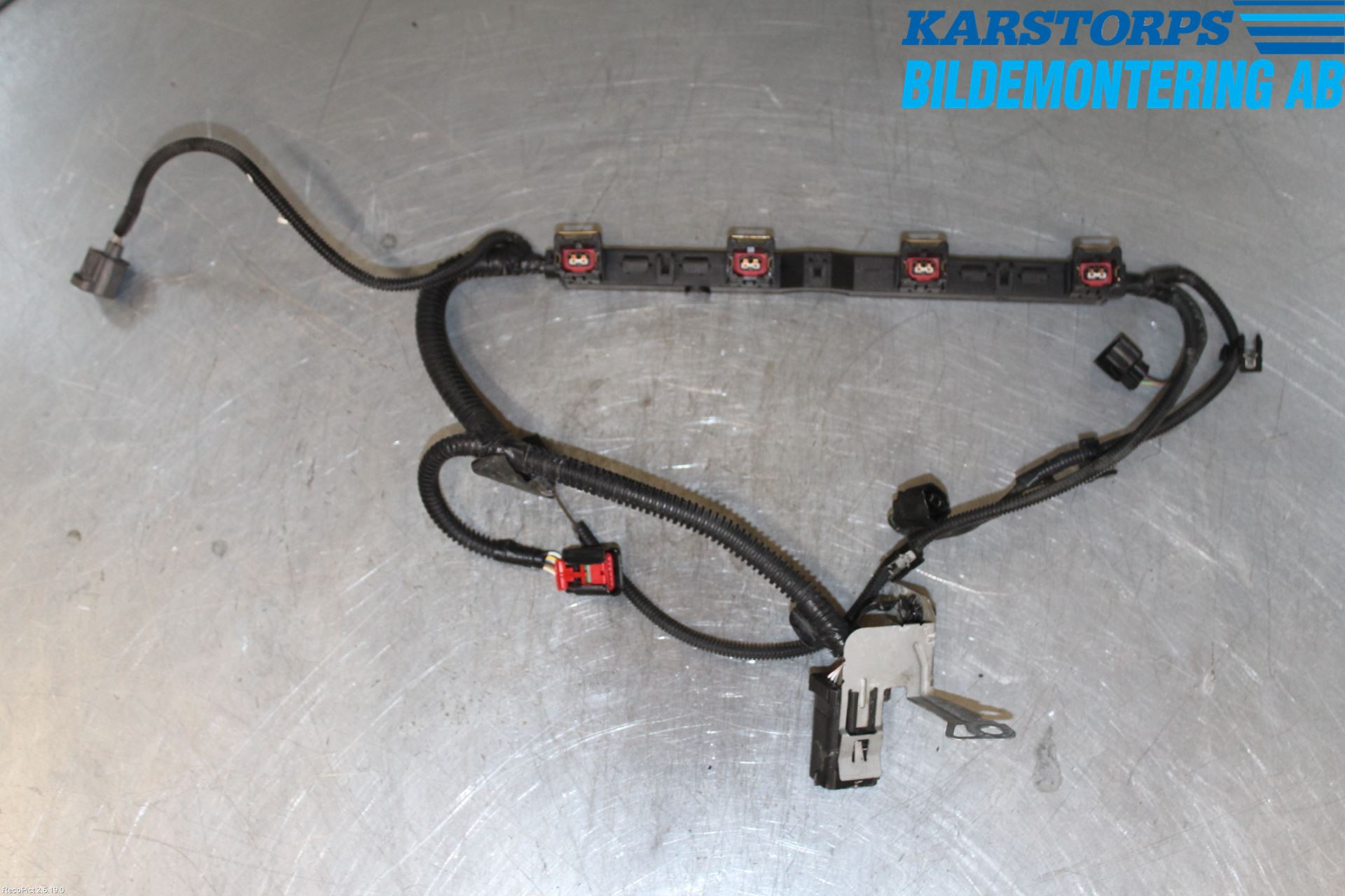 Ford FOCUS     04-07 Kabelhärva