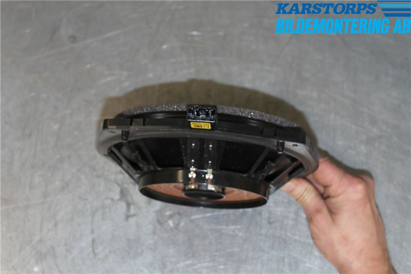 Jaguar F-TYPE Högtalare