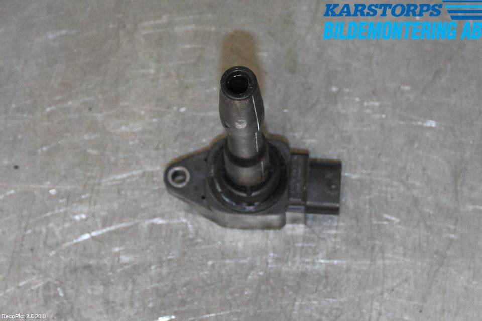 Dacia SANDERO/STEPWAY 13-20 Tändspole