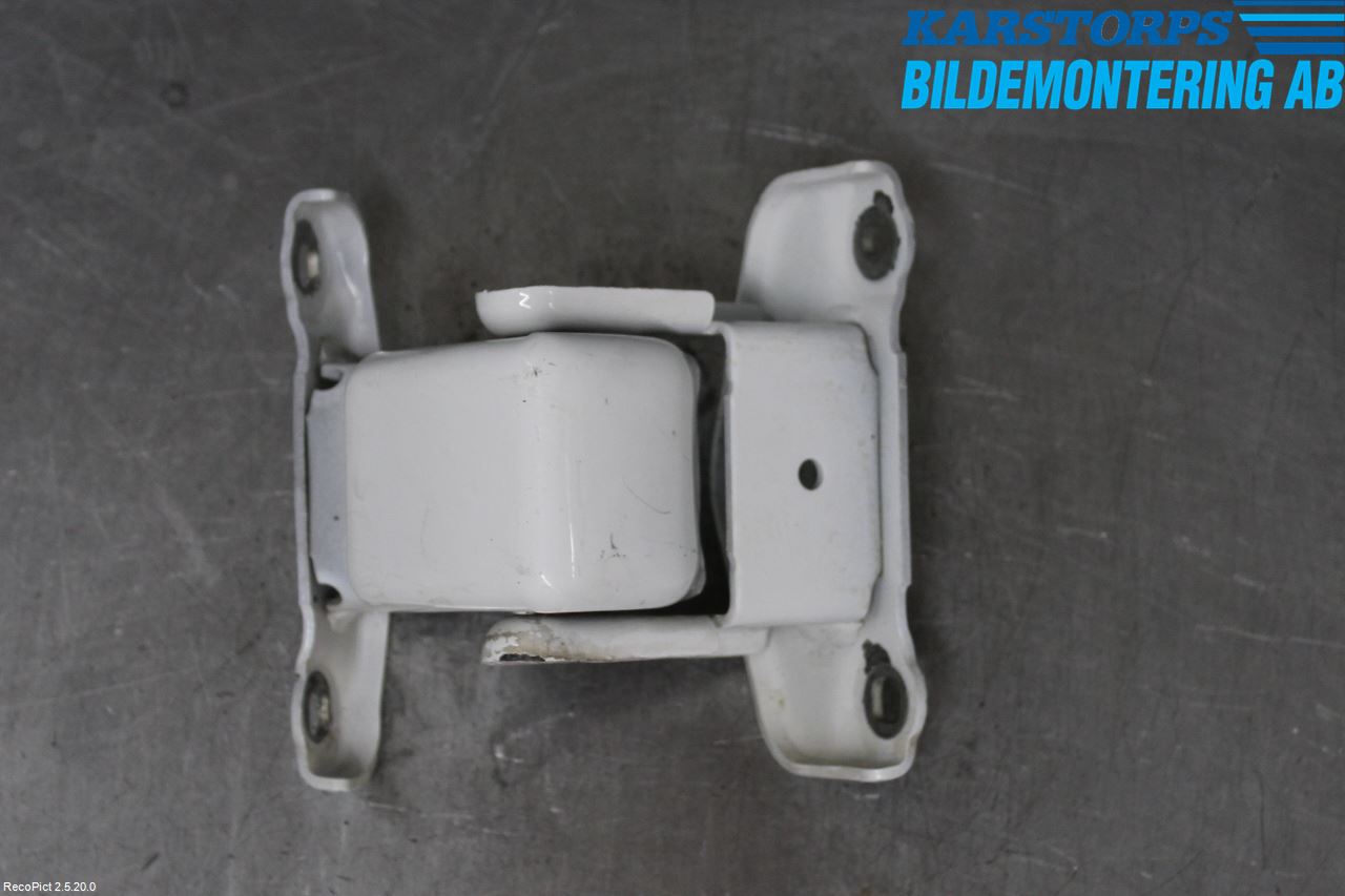 Renault TRAFIC   02-14 Dörrgångjärn