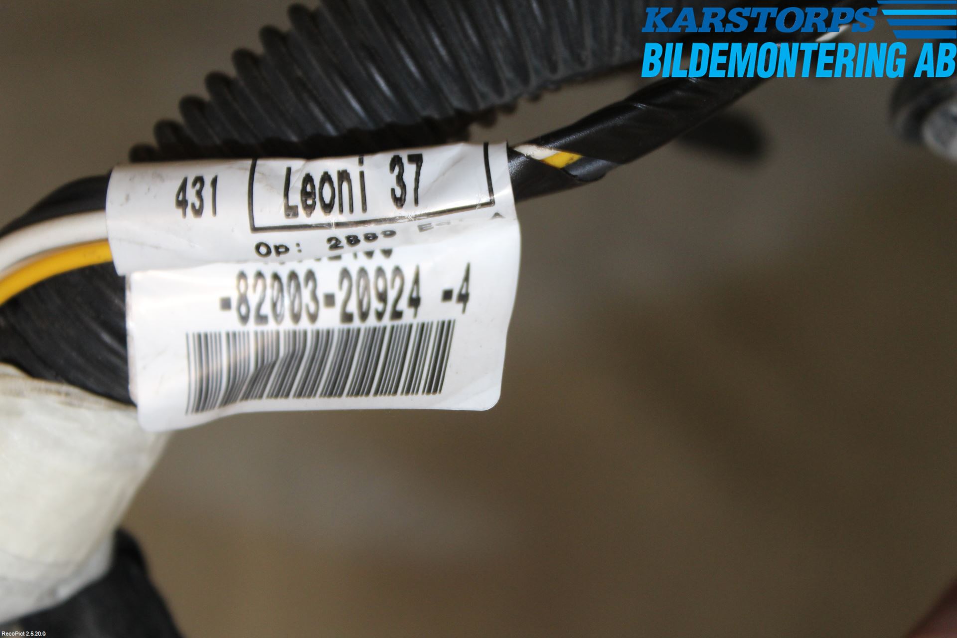 Renault TRAFIC   02-14 Kabelhärva