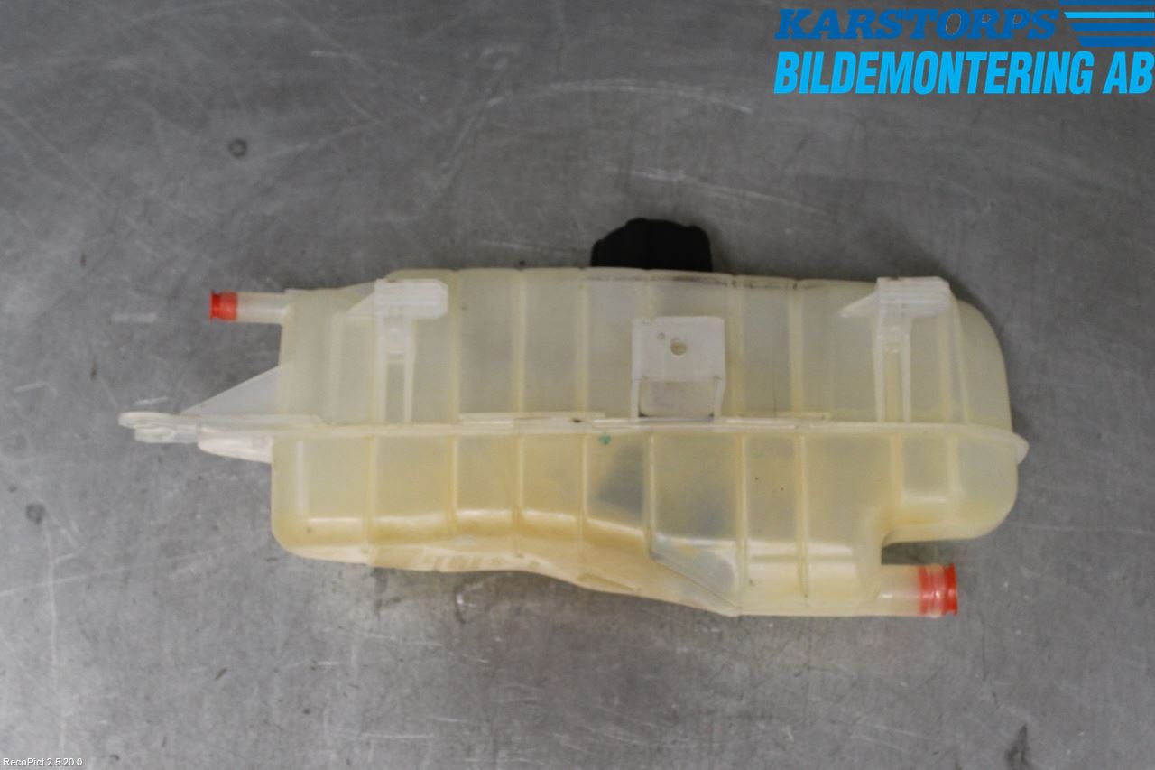 Renault CLIO III  09-12 Expansionstank