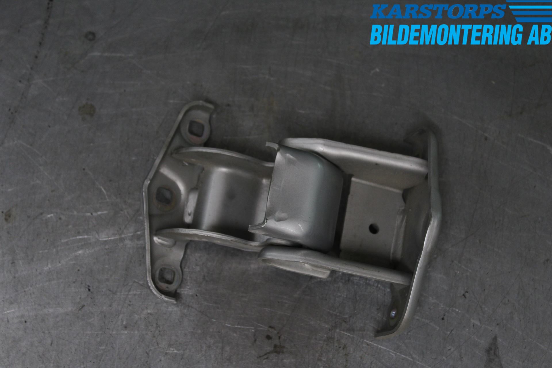 Renault TRAFIC   02-14 Dörrgångjärn