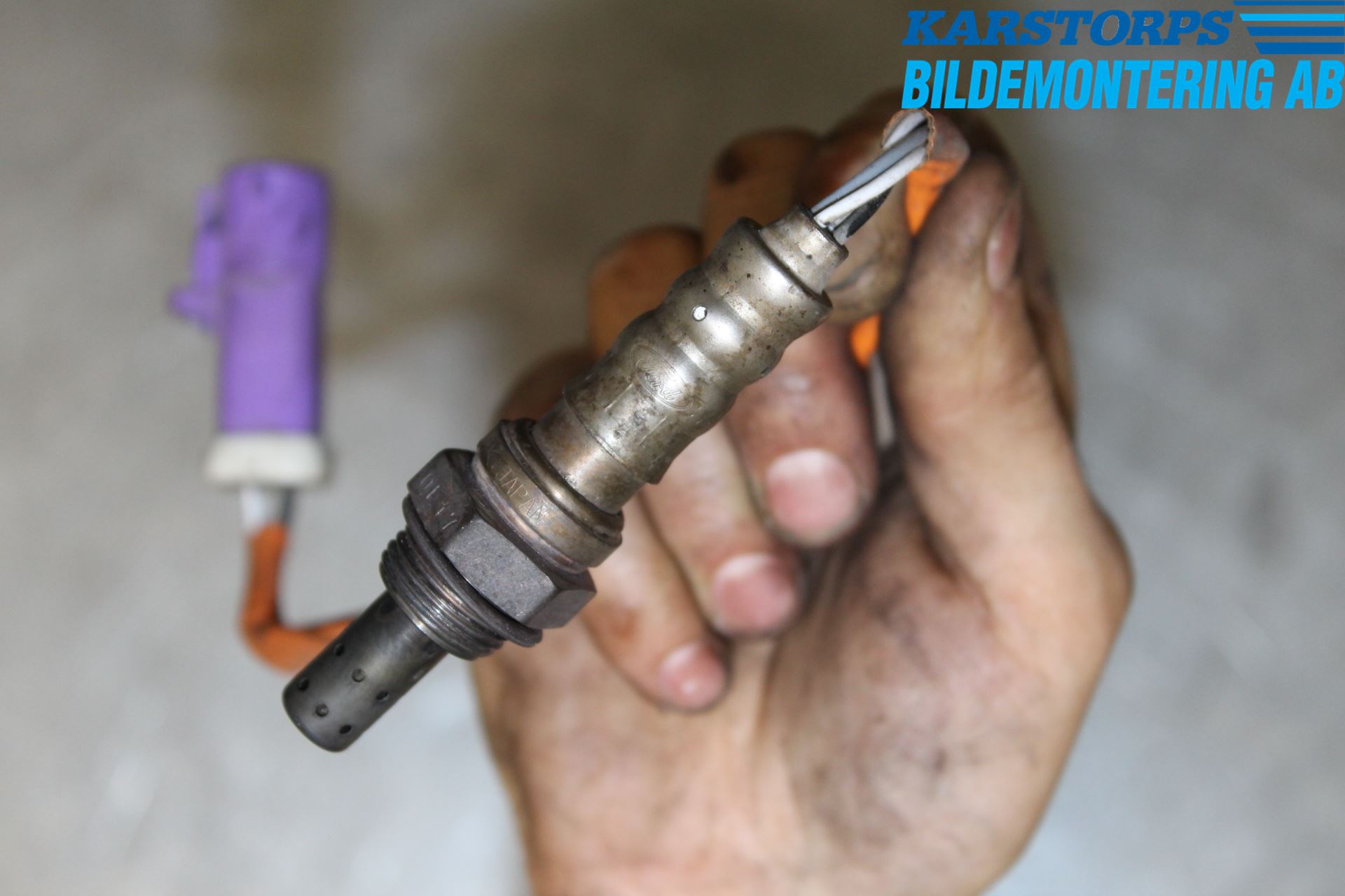 Ford FIESTA 09-12 Injlambdasond