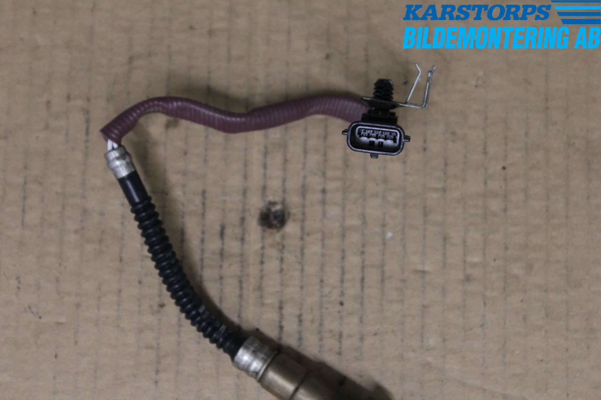 Renault MEGANE III 09-15 Injlambdasond