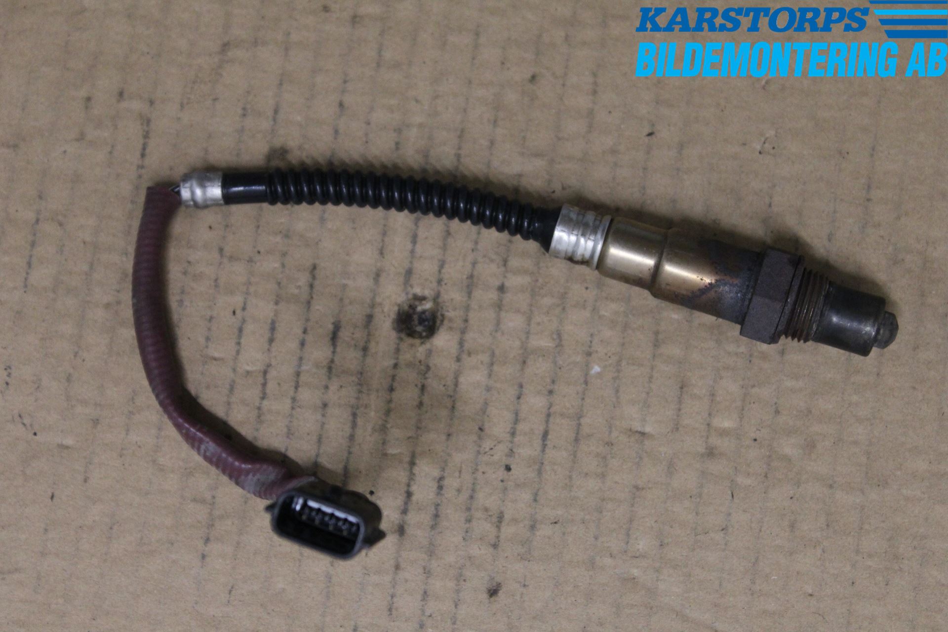 Renault MEGANE III 09-15 Injlambdasond