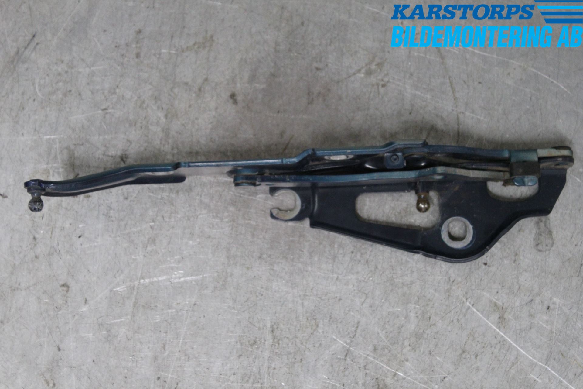 BMW 3 E90/91 SED/TOU 05-12 Bakluckegångjärn Hö