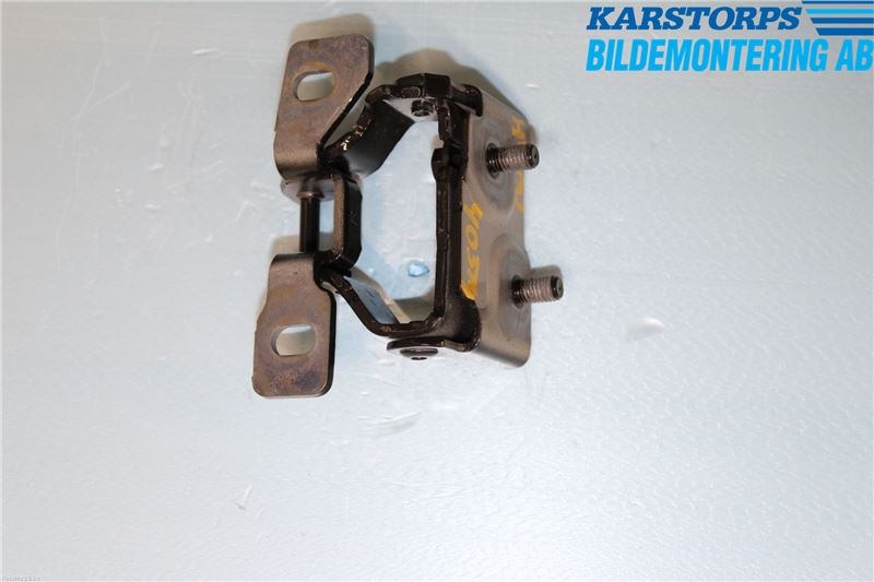 BMW 1 F20/F21 11-19 Bakluckegångjärn Hö