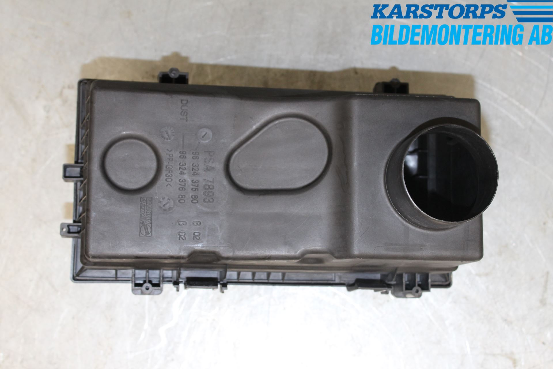 Peugeot 406     99-04 Luftrenare