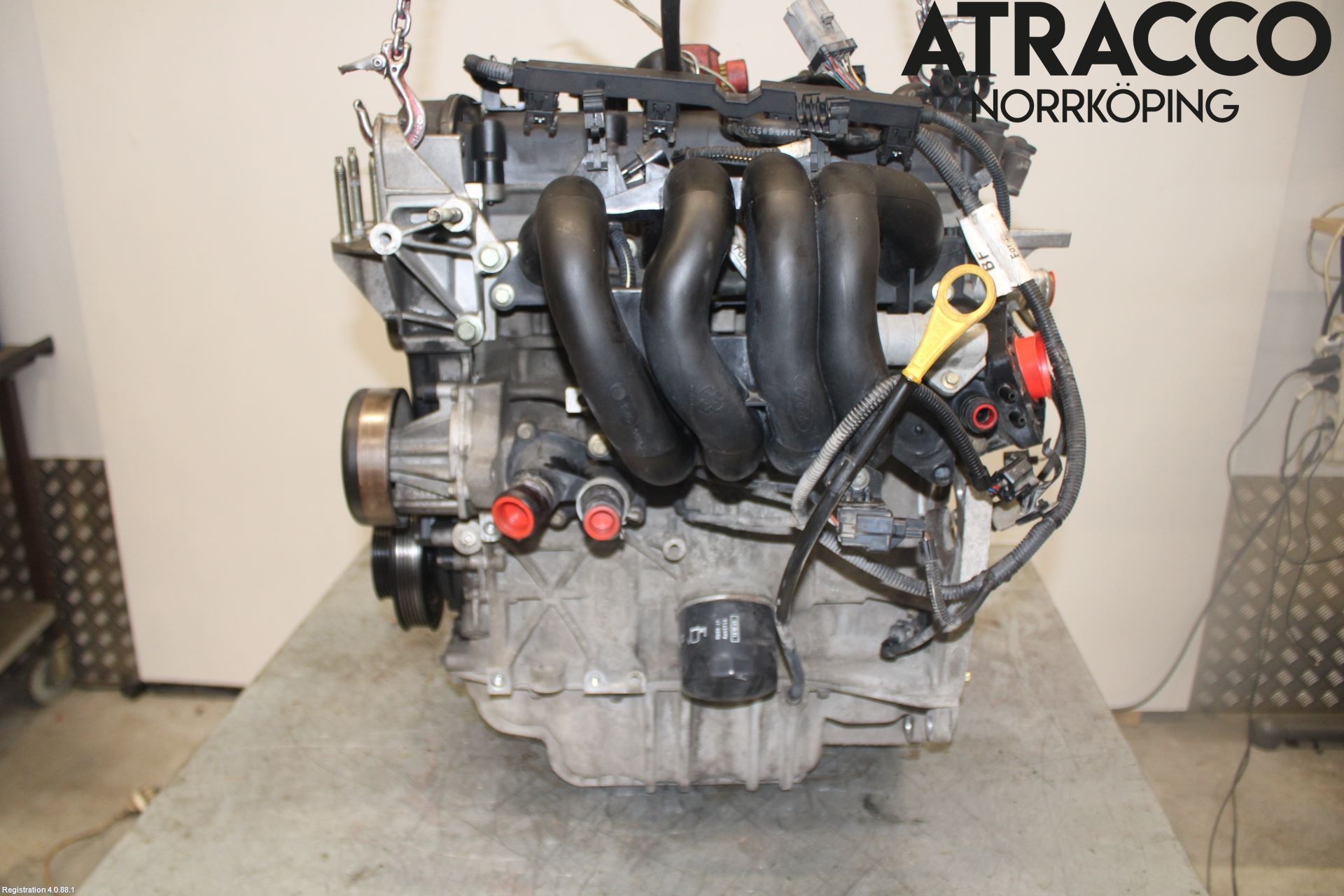 Ford FOCUS     99-04 Motor Bensin