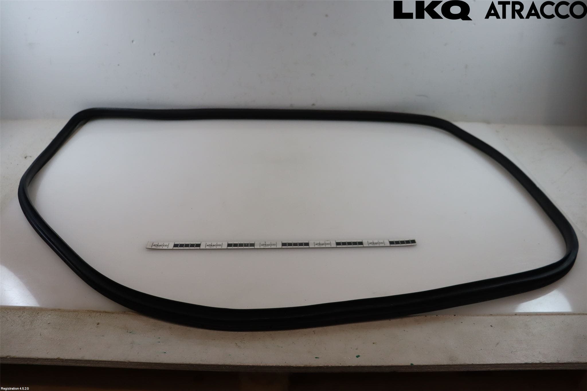 Hyundai IONIQ AE 17-22 Dörr Gummilist