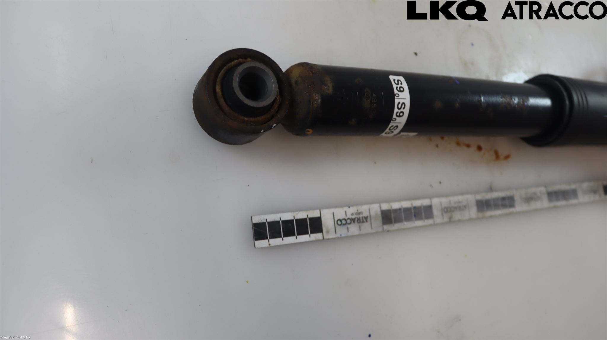 Toyota COROLLA 19- Stötdämpare Bak