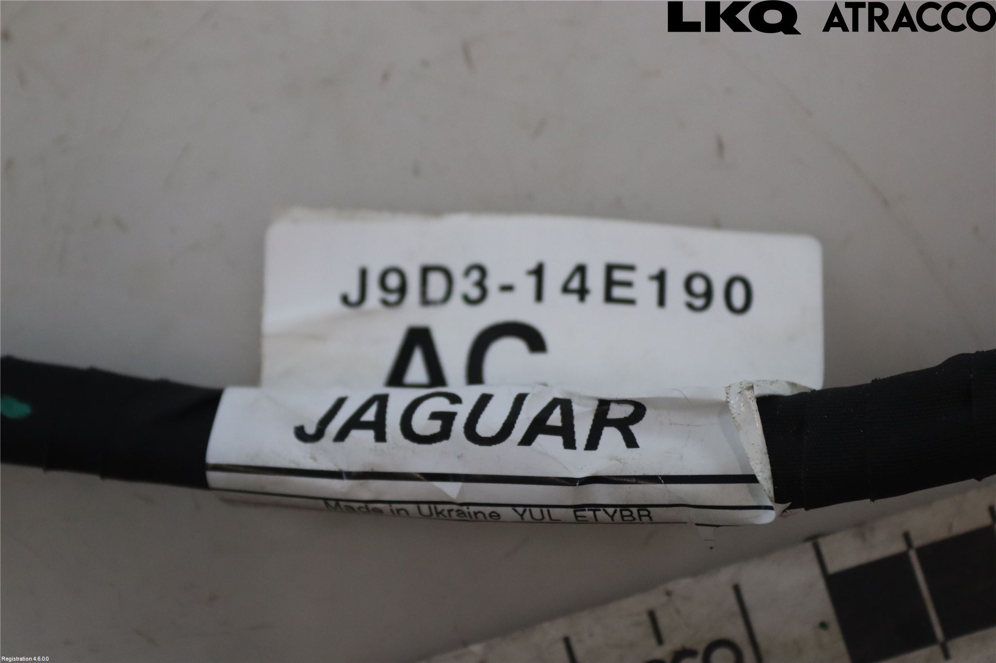 Jaguar I-PACE 18- Kabelhärva