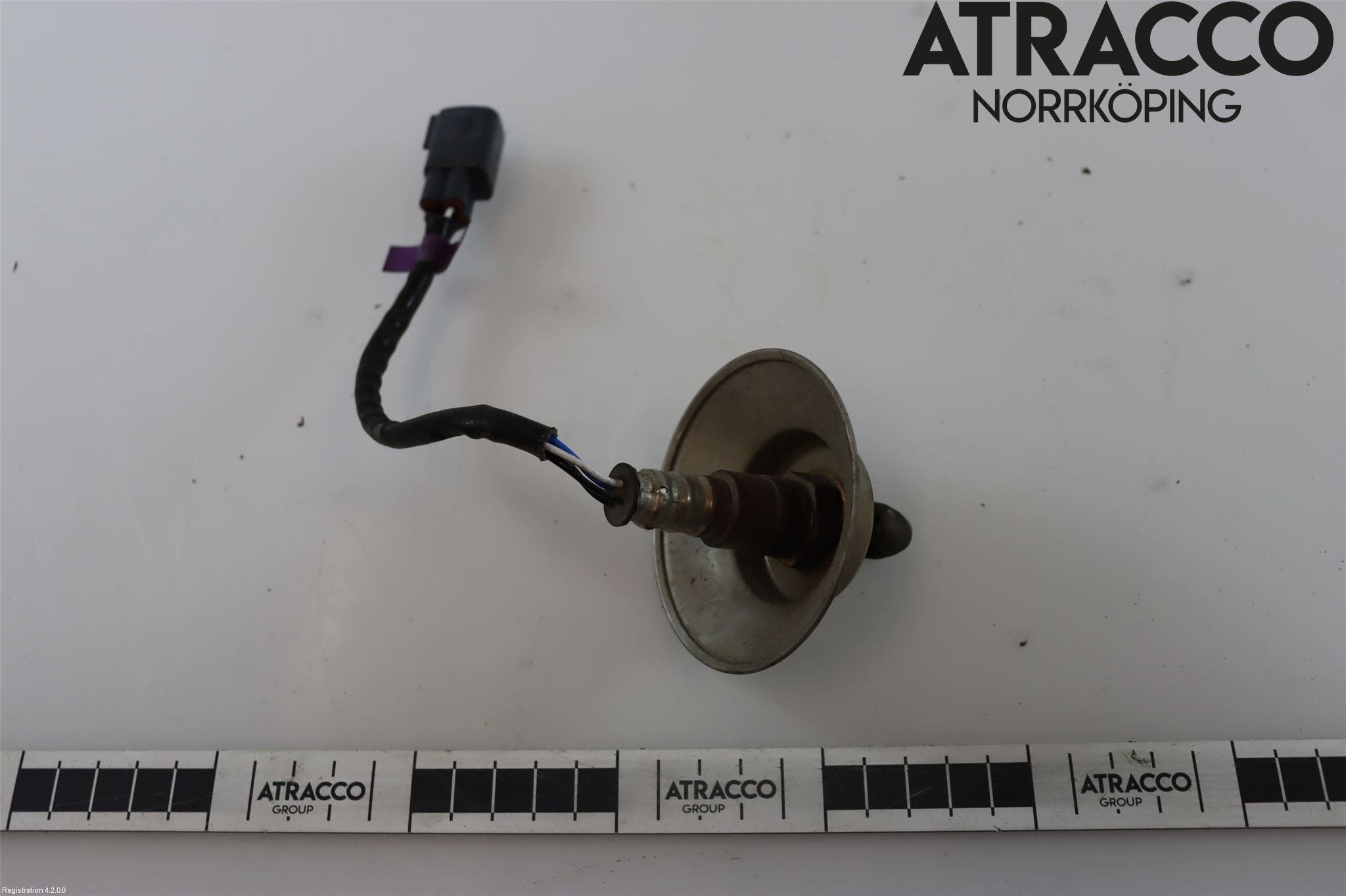 Toyota C-HR 16-23 Injlambdasond