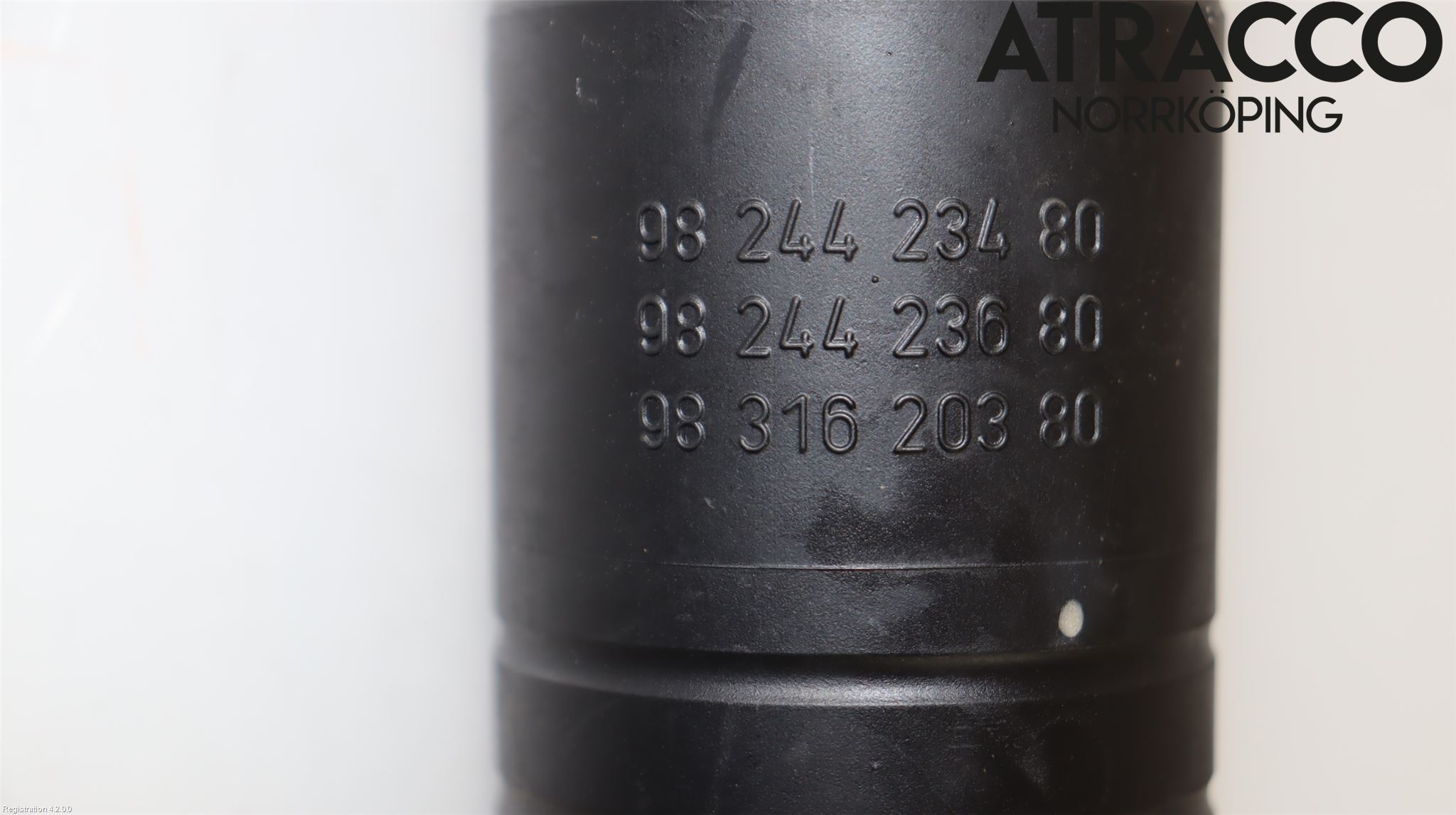 Citroen C4/E-C4 C4X/E-C4X III 21- Stötdämpare Bak