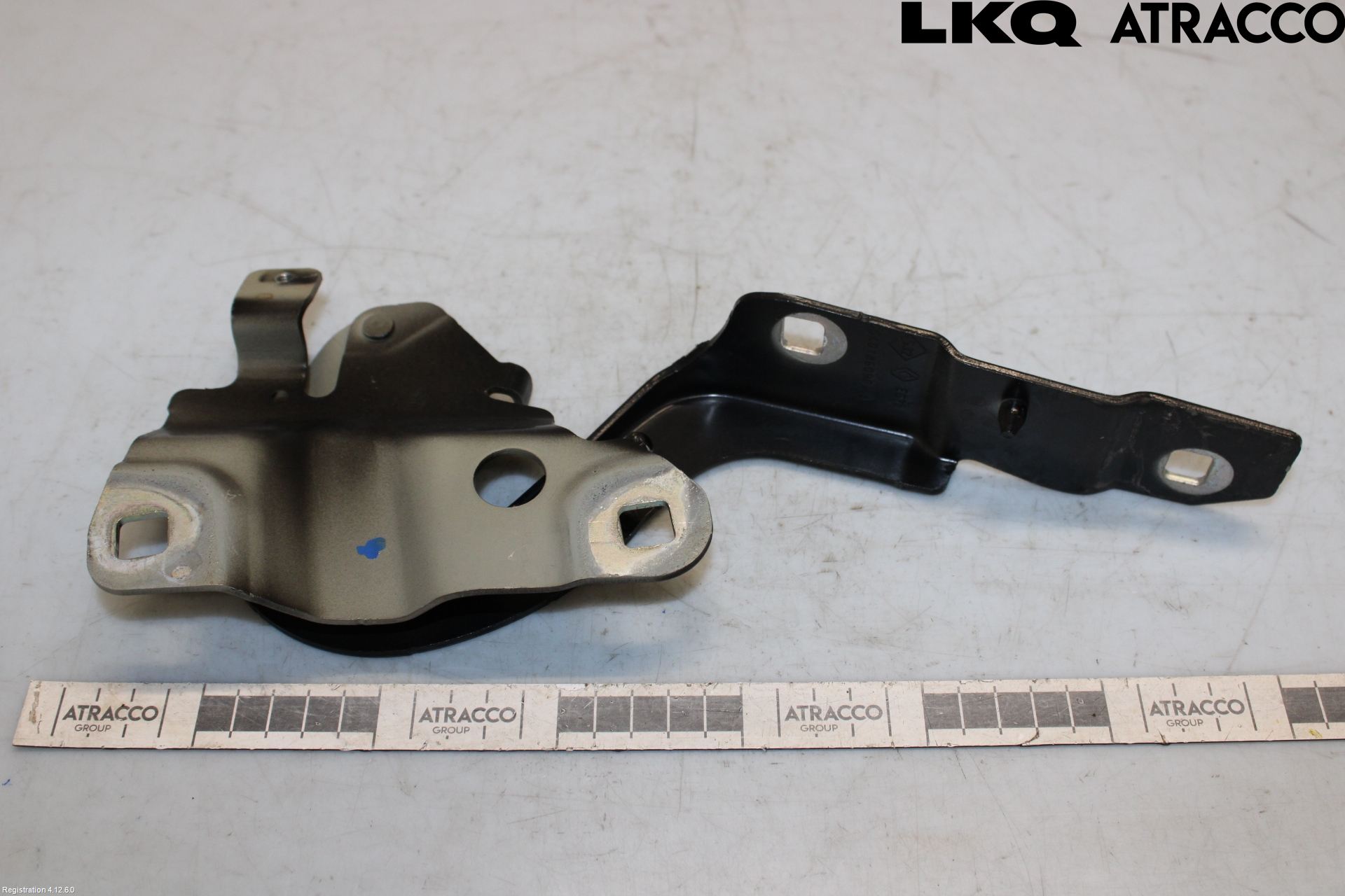 Renault ZOE/E-TECH 13- Huvgångjärn