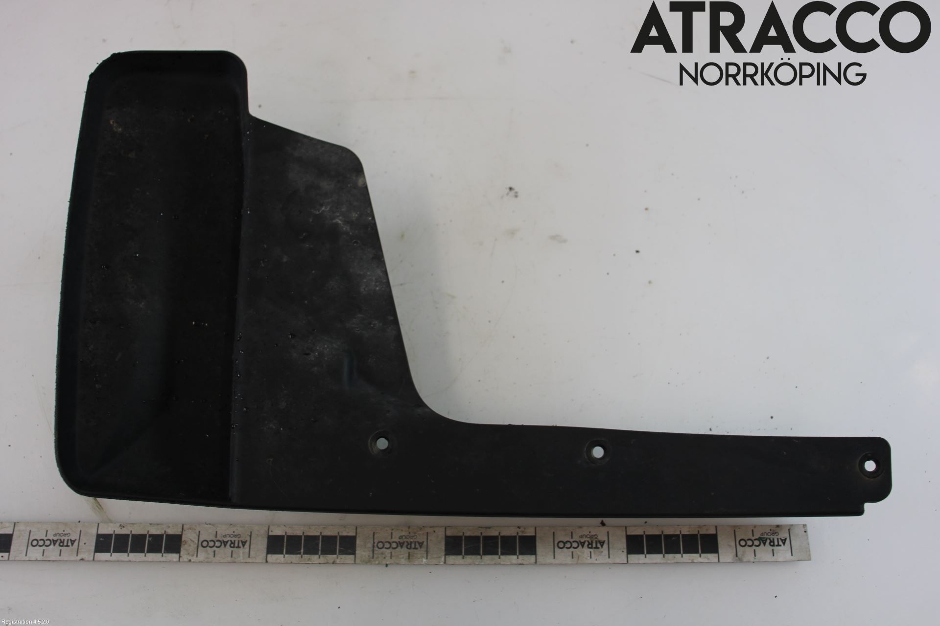 Lexus RX AL20 16-22 Stänkskydd