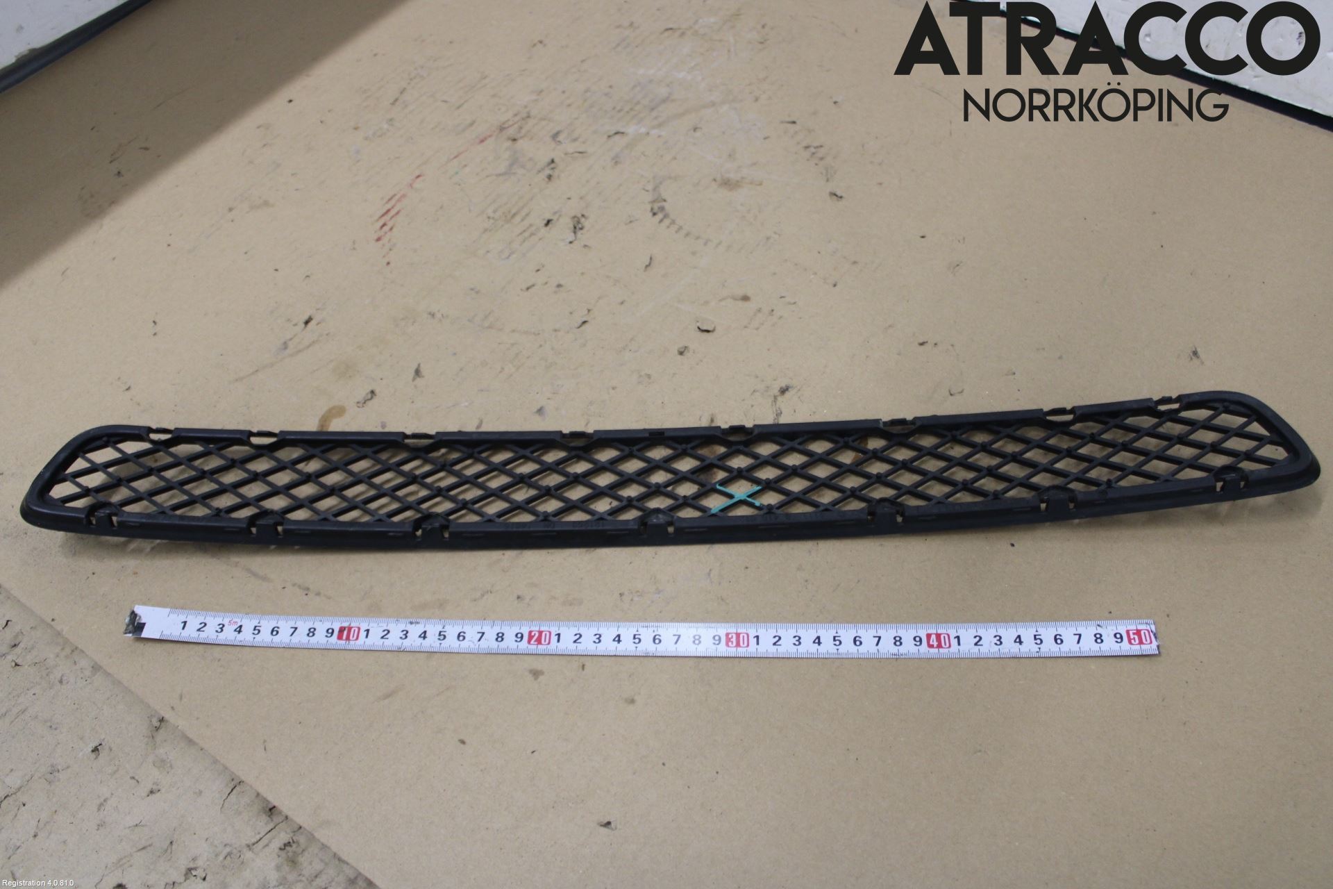 BMW X3 E83     03-10 Grilldel Mitt