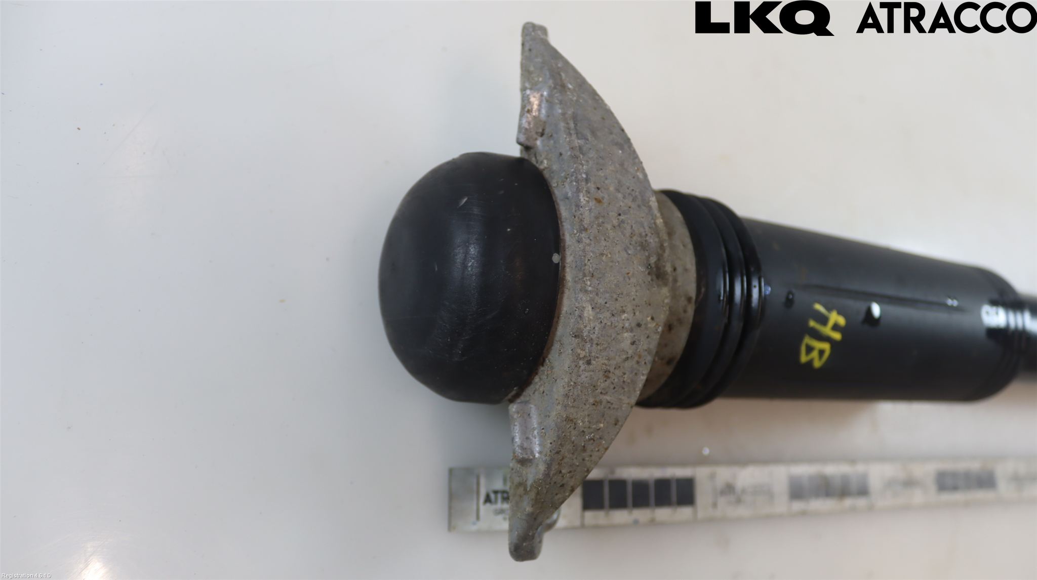 Toyota COROLLA 19- Stötdämpare Bak