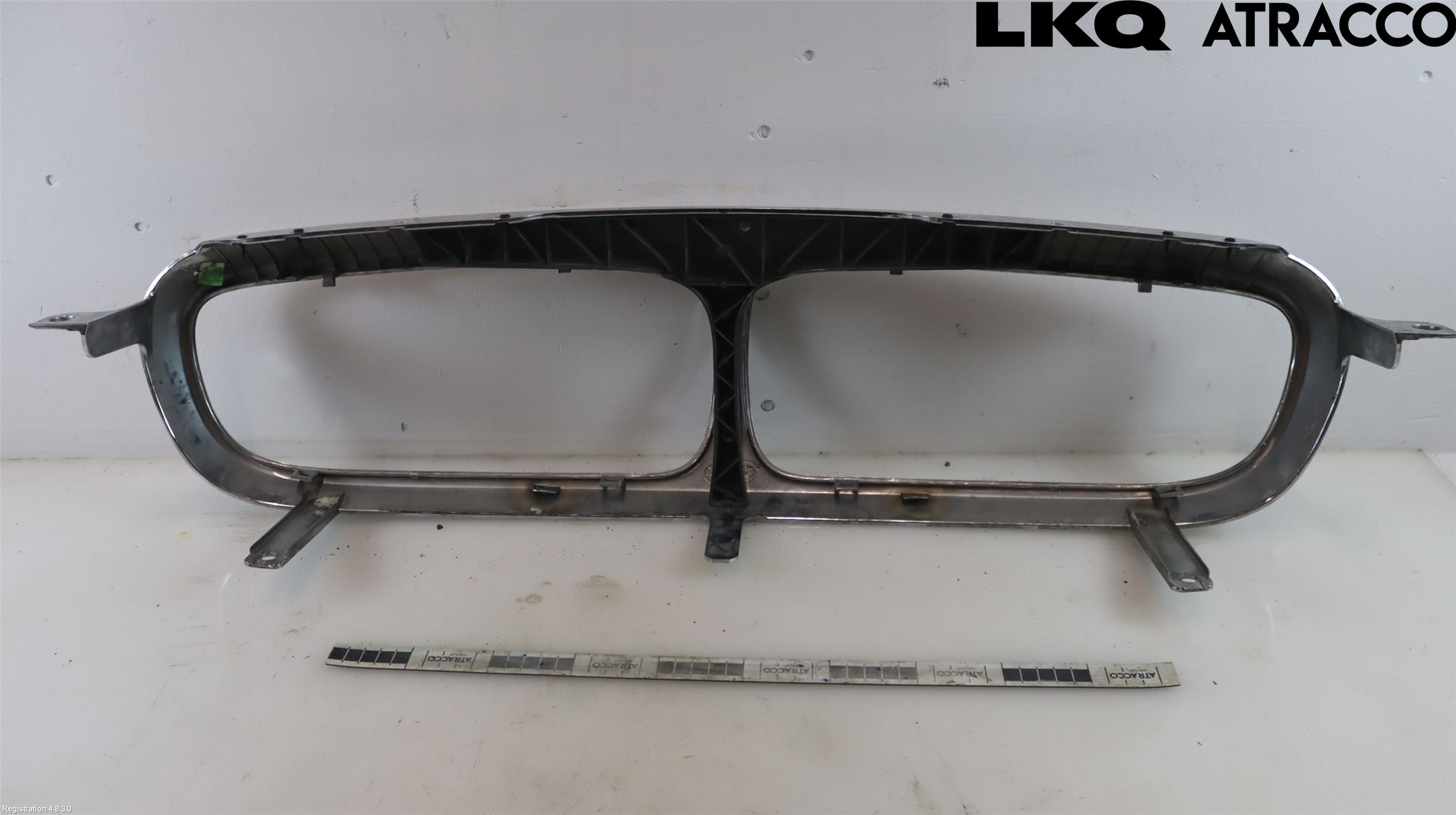 Jaguar XJ X350        03-09 Grilldel Mitt