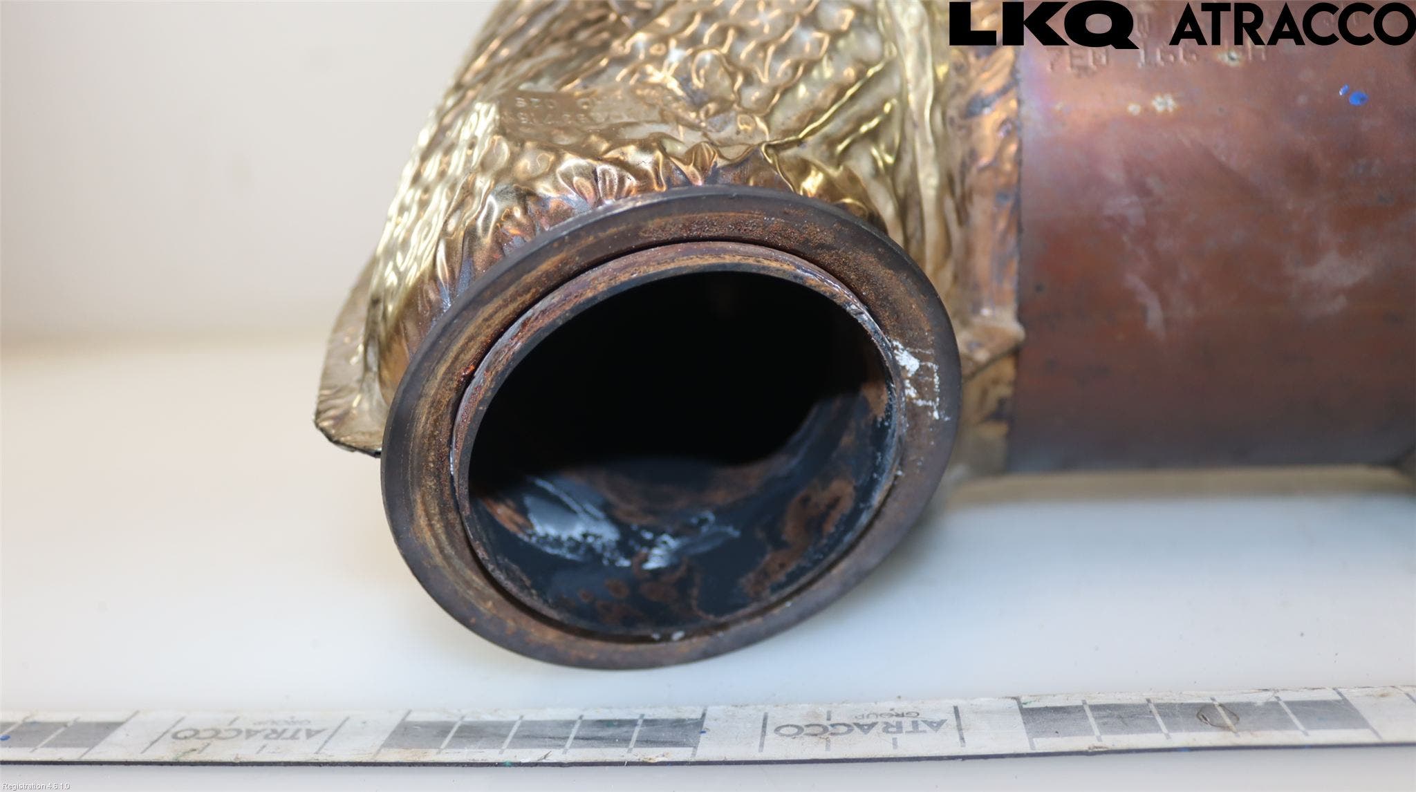 Volkswagen VW TRANSP/CARAVELLE (T6) 16-22 Katalysator