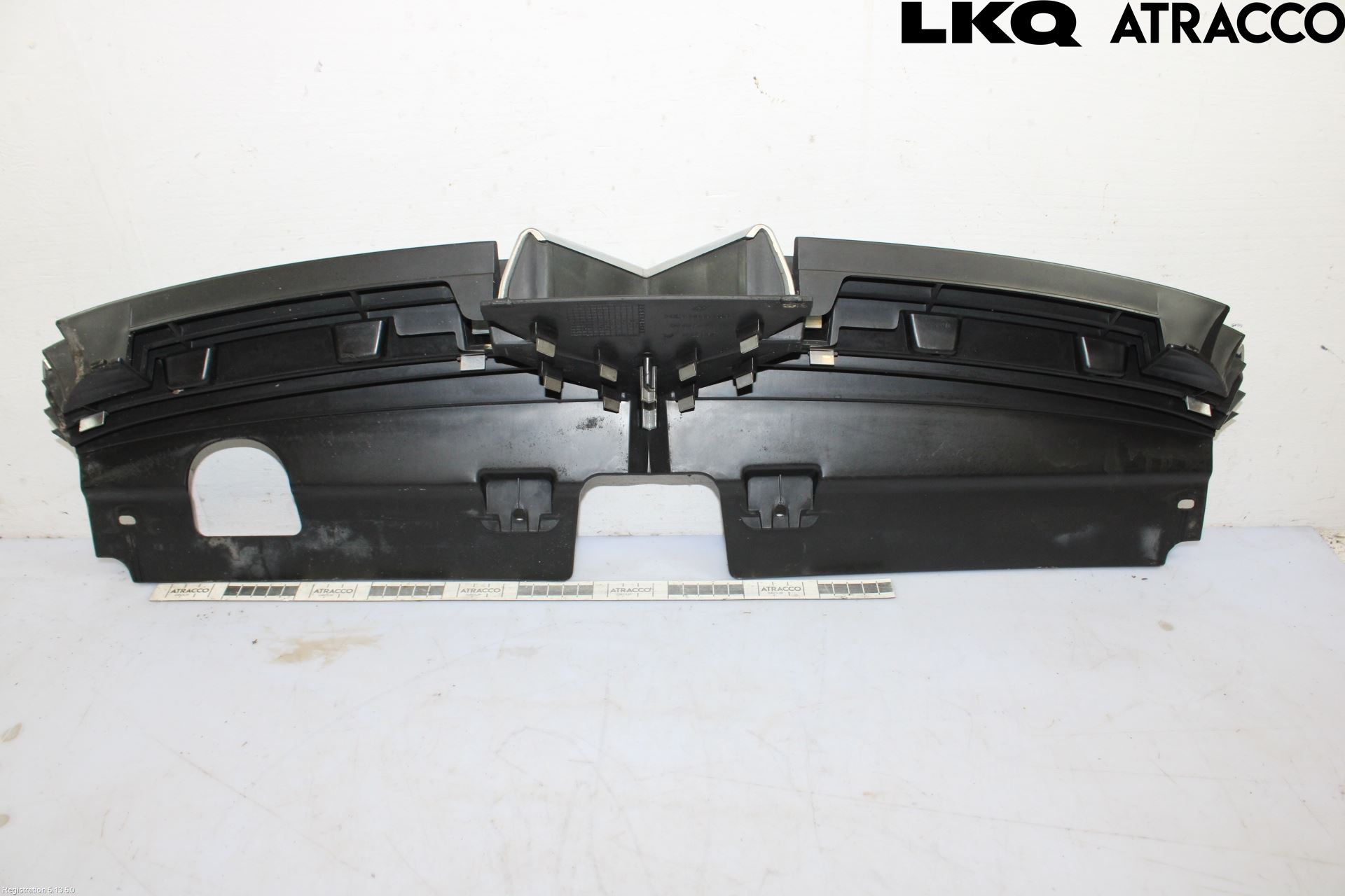 Citroen C5 -04 Grill-Galler