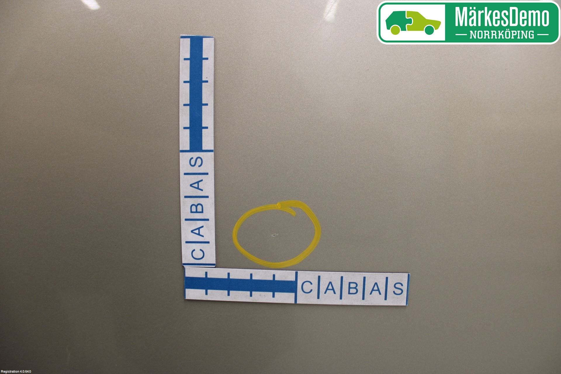 Citroen C4 I 05-10 Dörr Bak Vänster